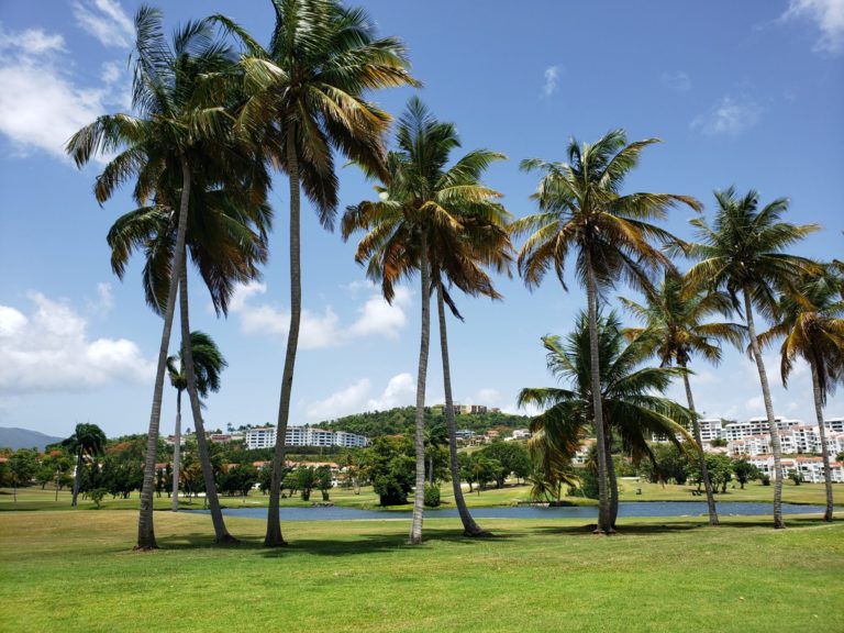 Puerto Rico Celebrity Golf Giveaway!