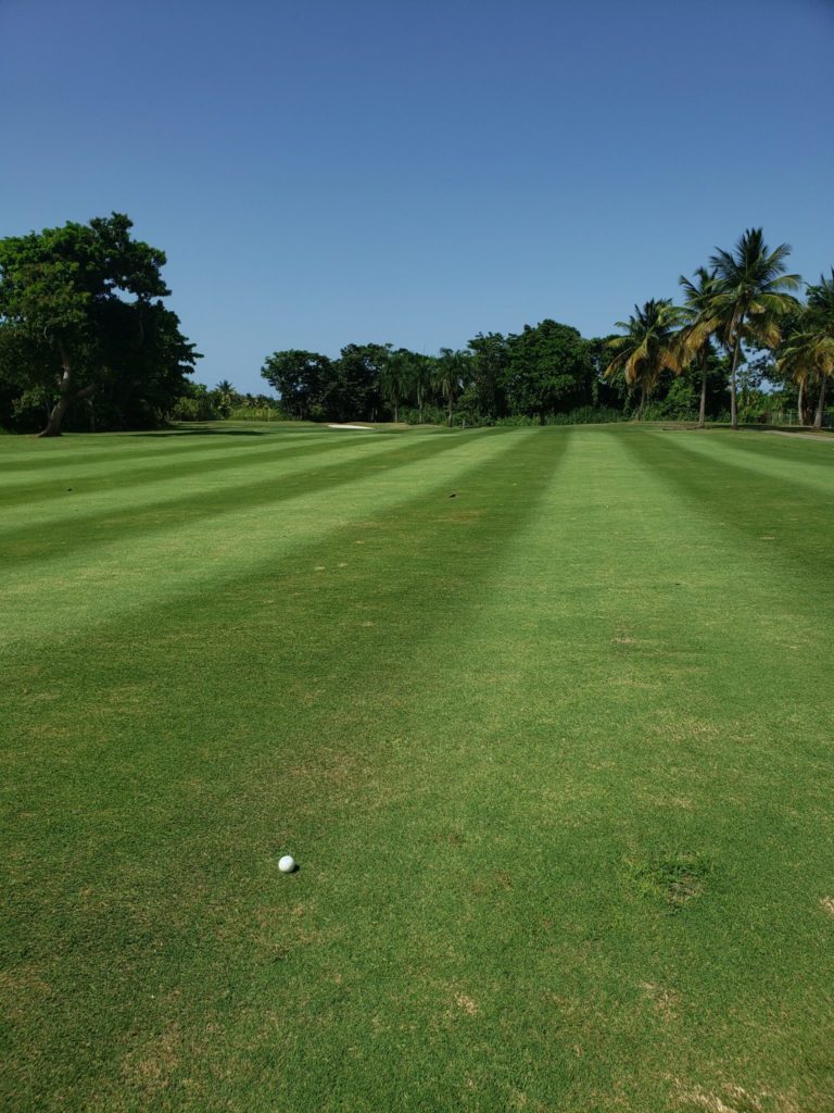 PR Celebrity Golf: Winner Picked!