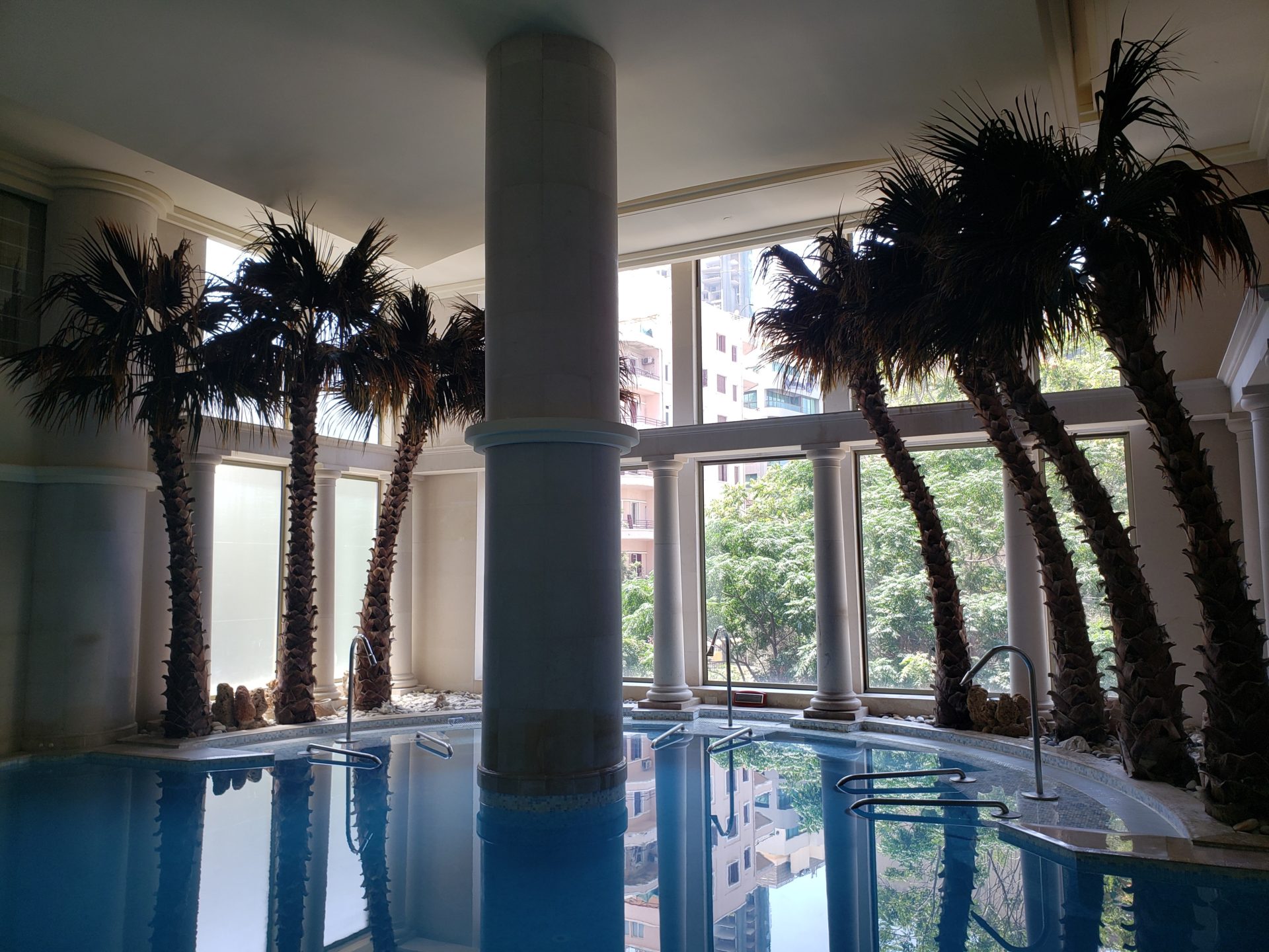 a pool with palm trees in a building
