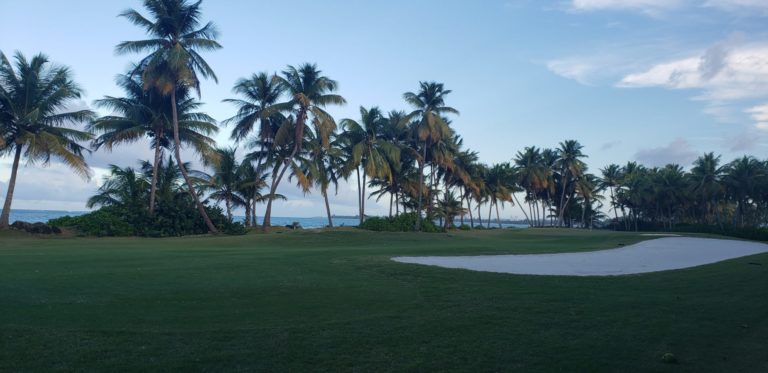 Looking to Churn? Move to Puerto Rico