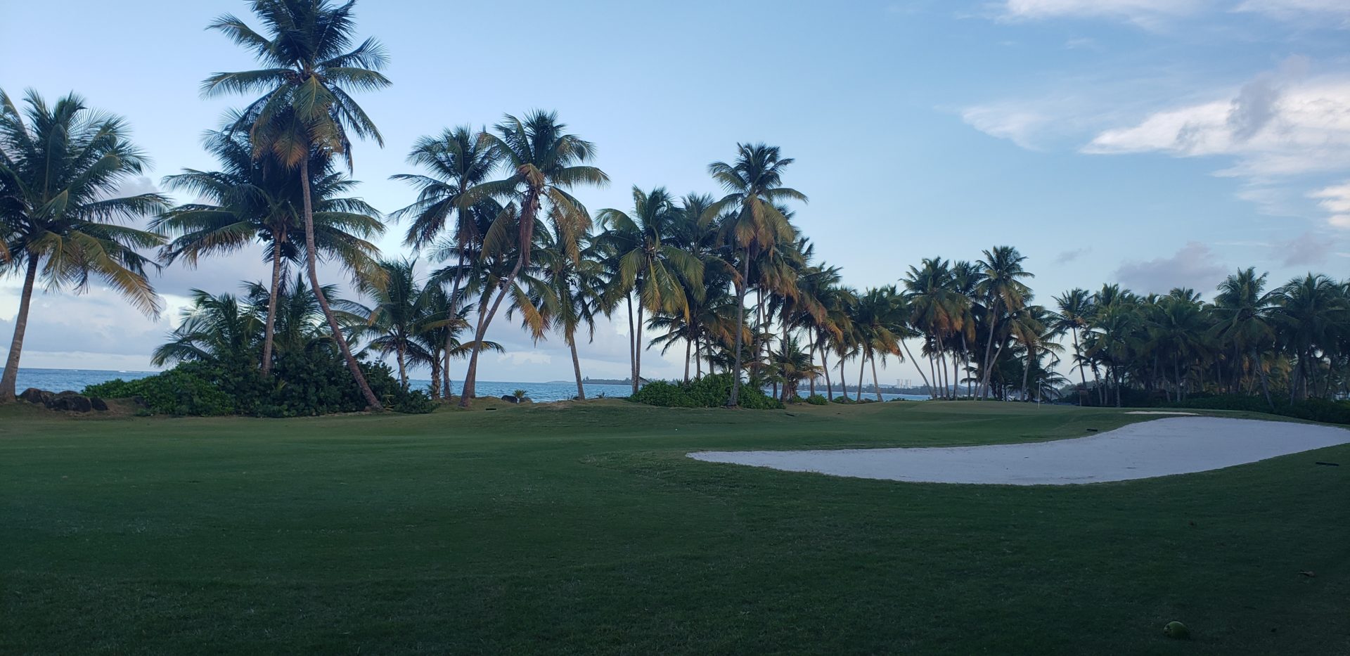 a golf course with palm trees