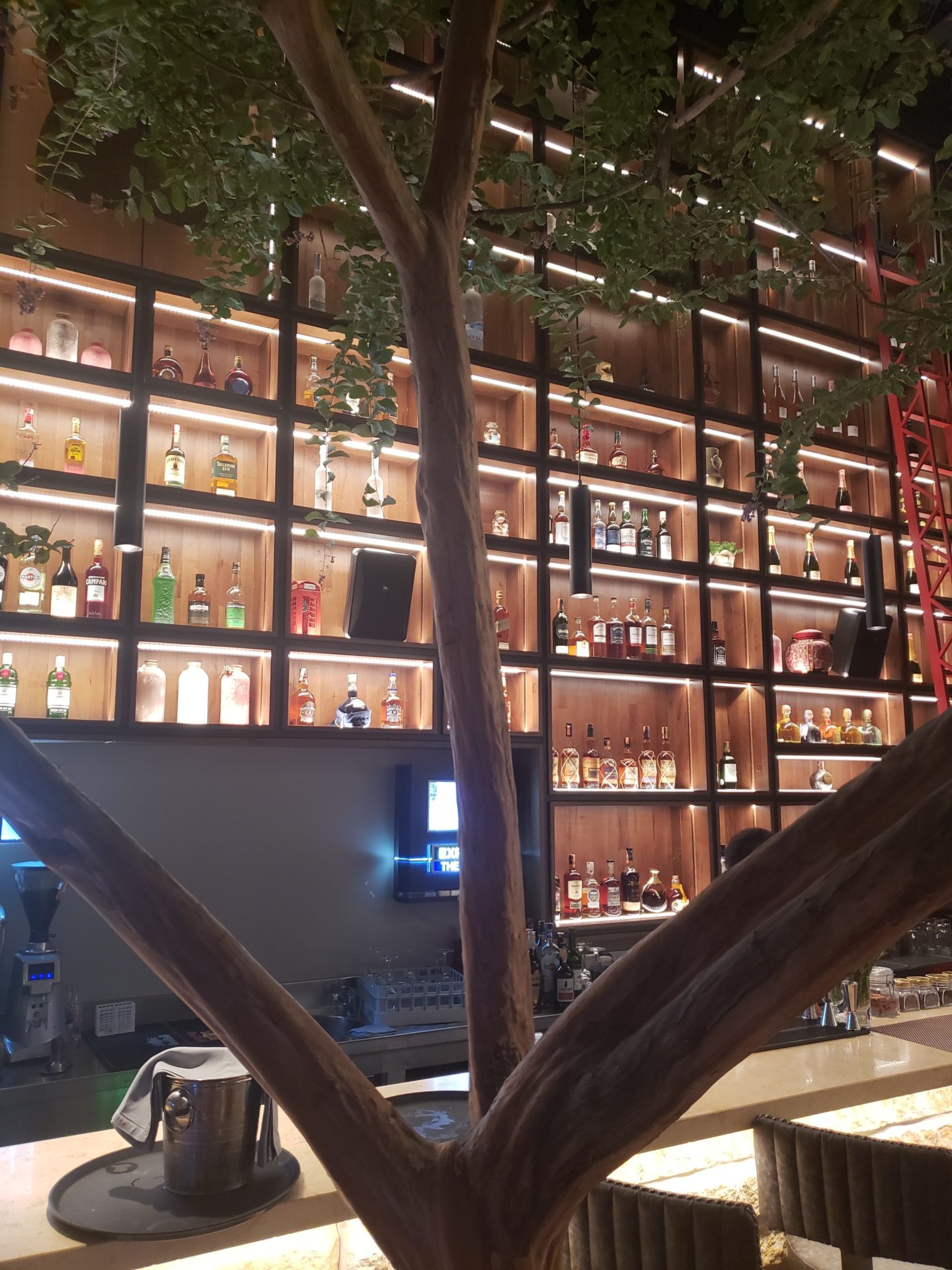 a wall with shelves of liquor and a tree