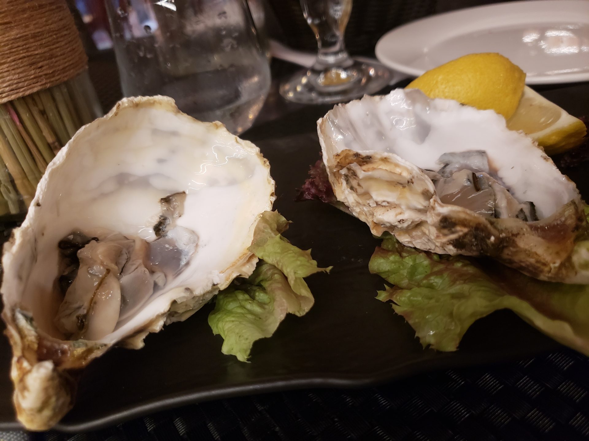 a oysters on a plate
