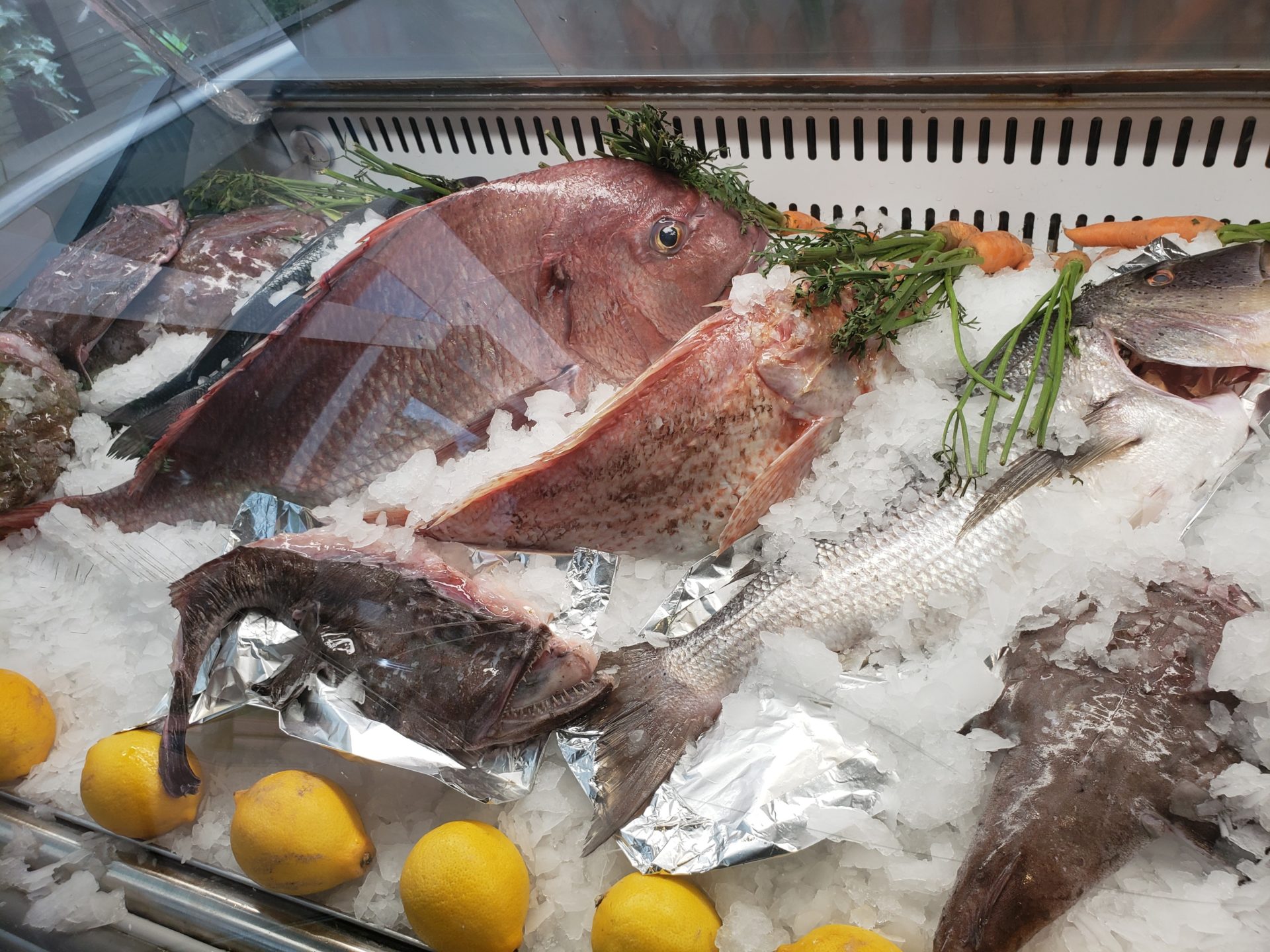 a fish on ice in a display case