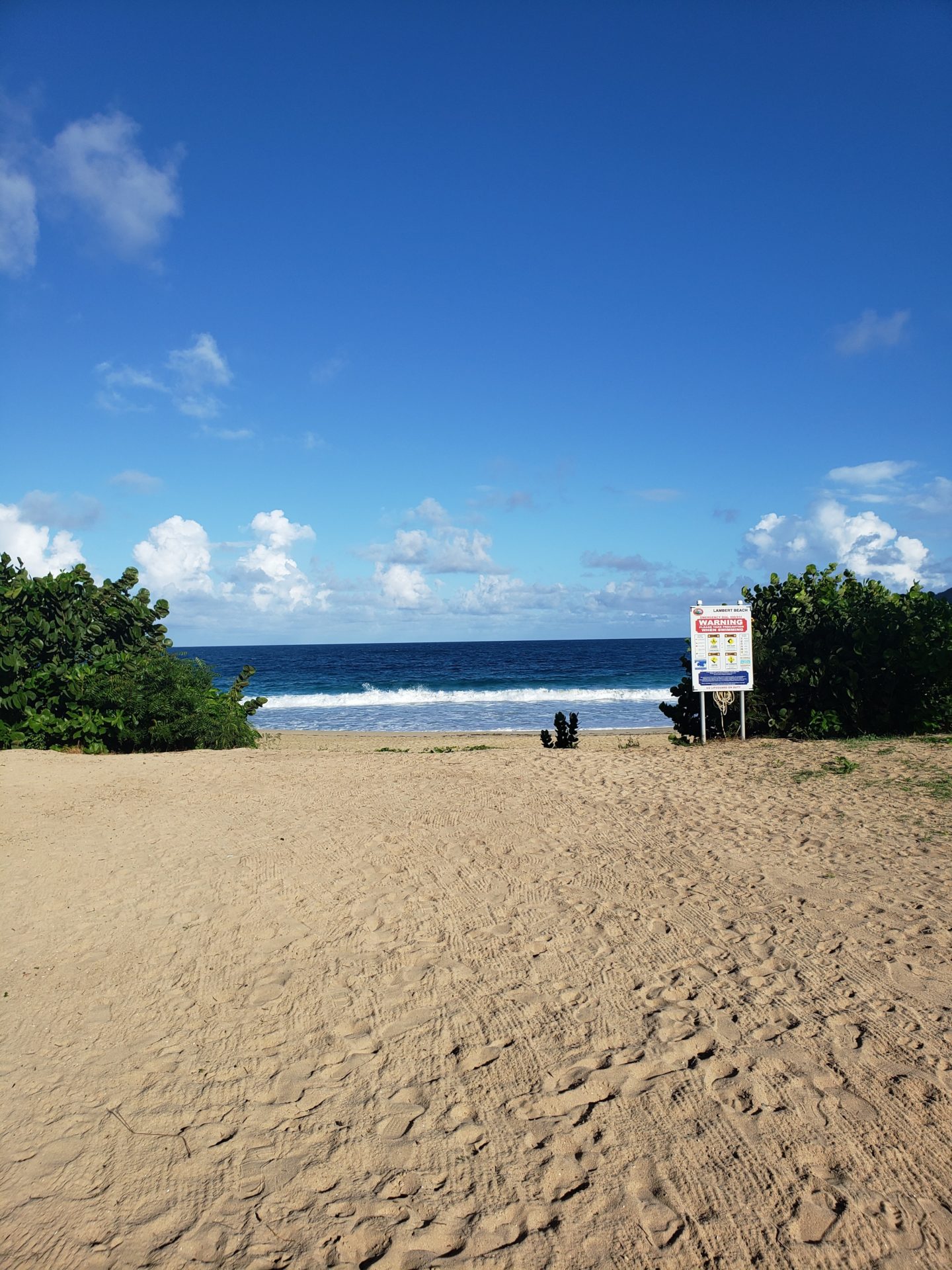 a beach with a sign and bushes