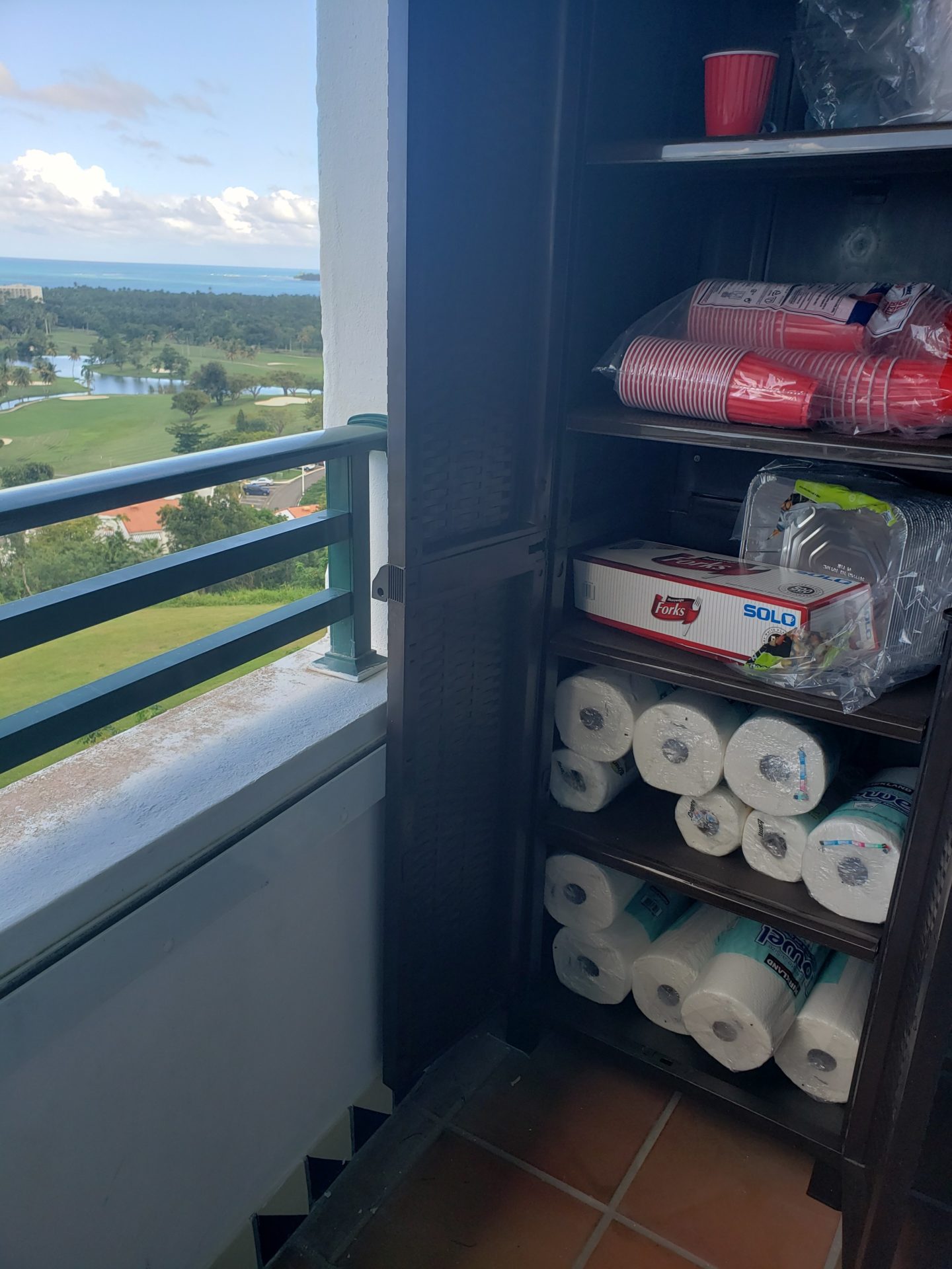 a shelf with rolls of paper towels and a view of a golf course