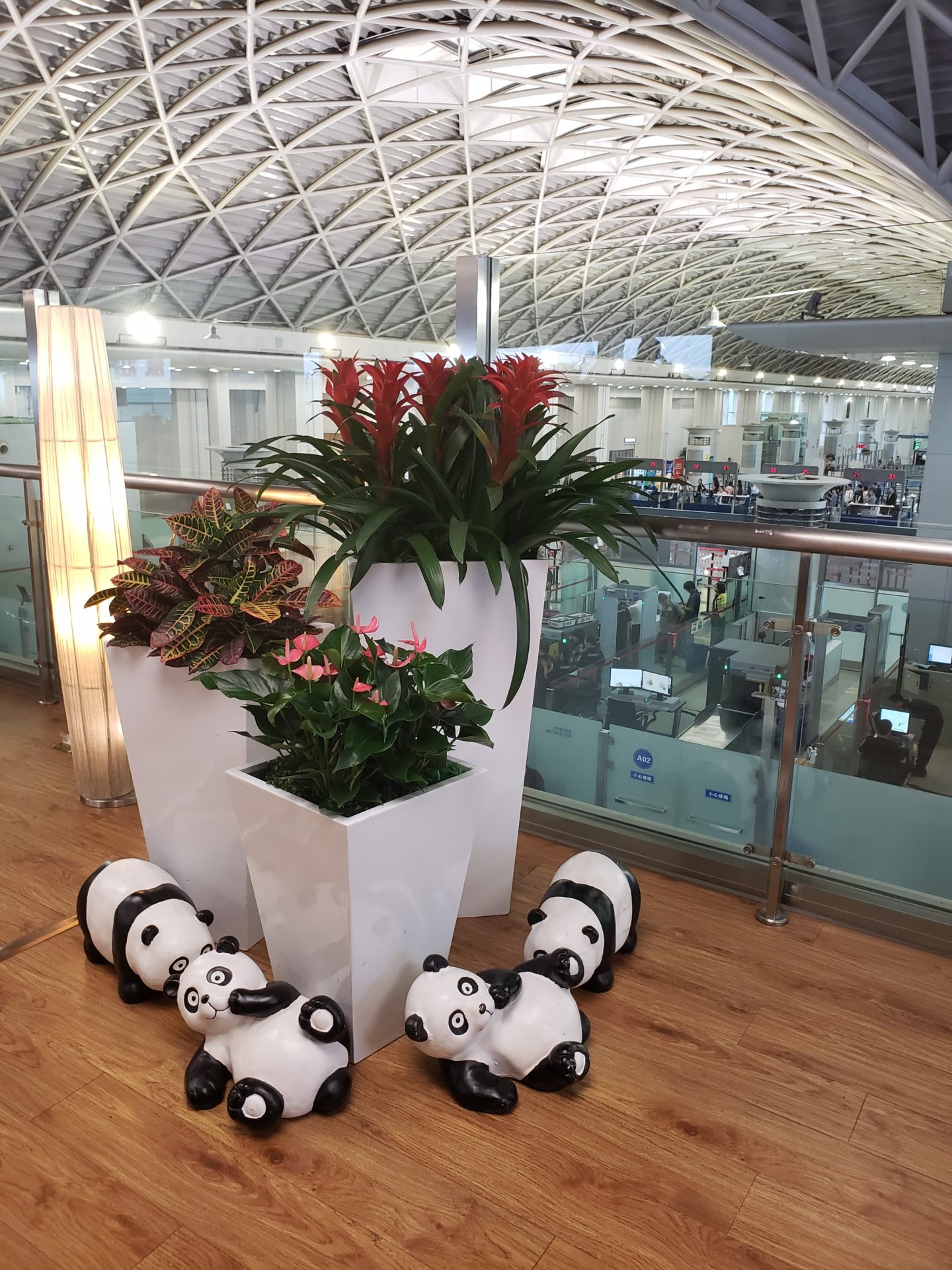 a group of pandas and plants in a room with glass walls
