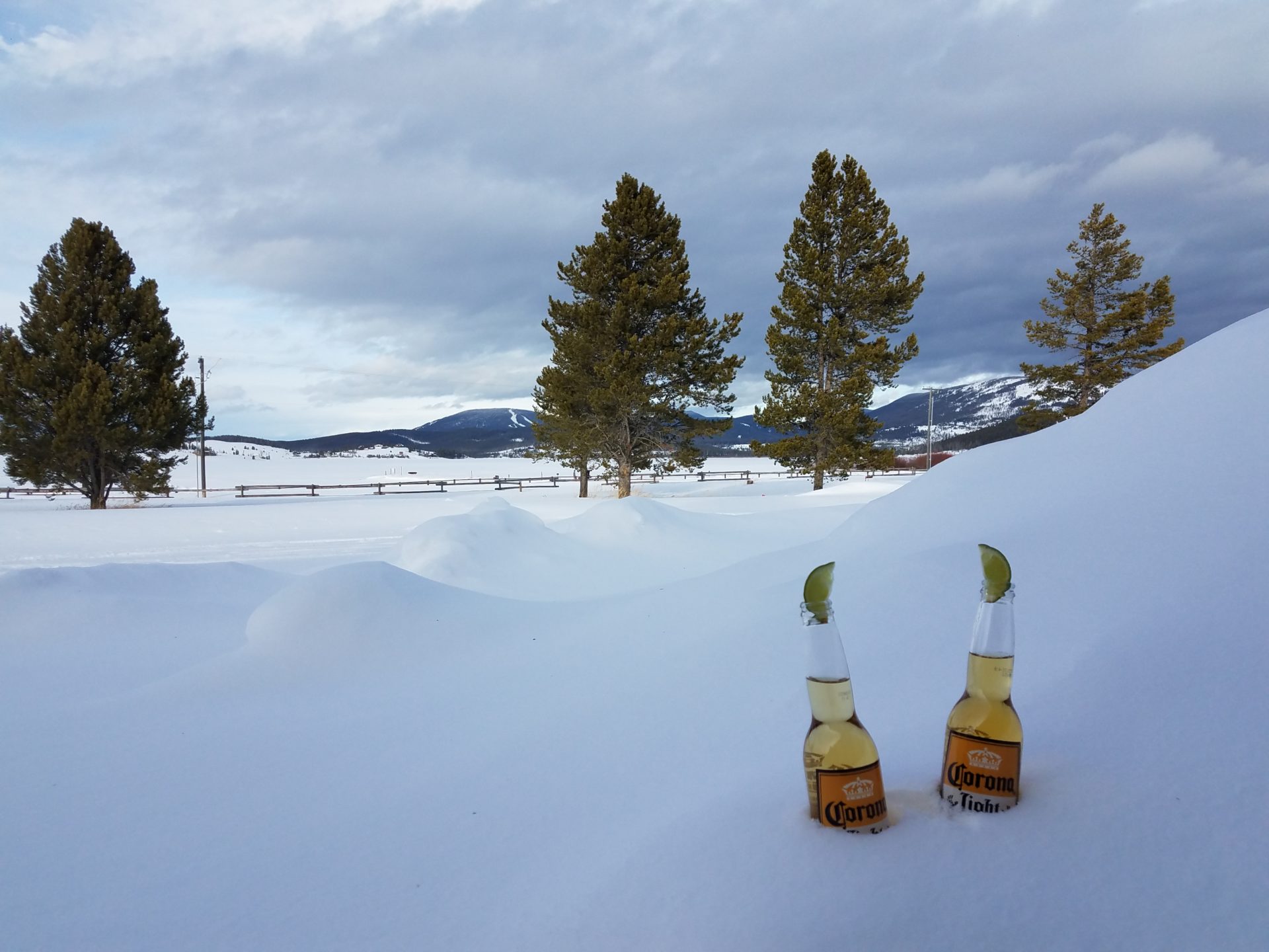 two bottles of beer in the snow