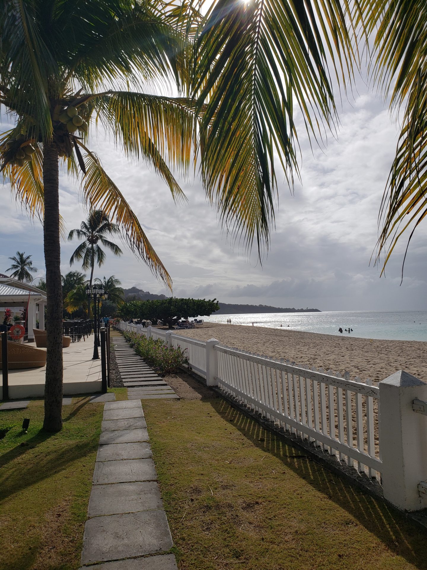 a beach with palm trees and a white fence