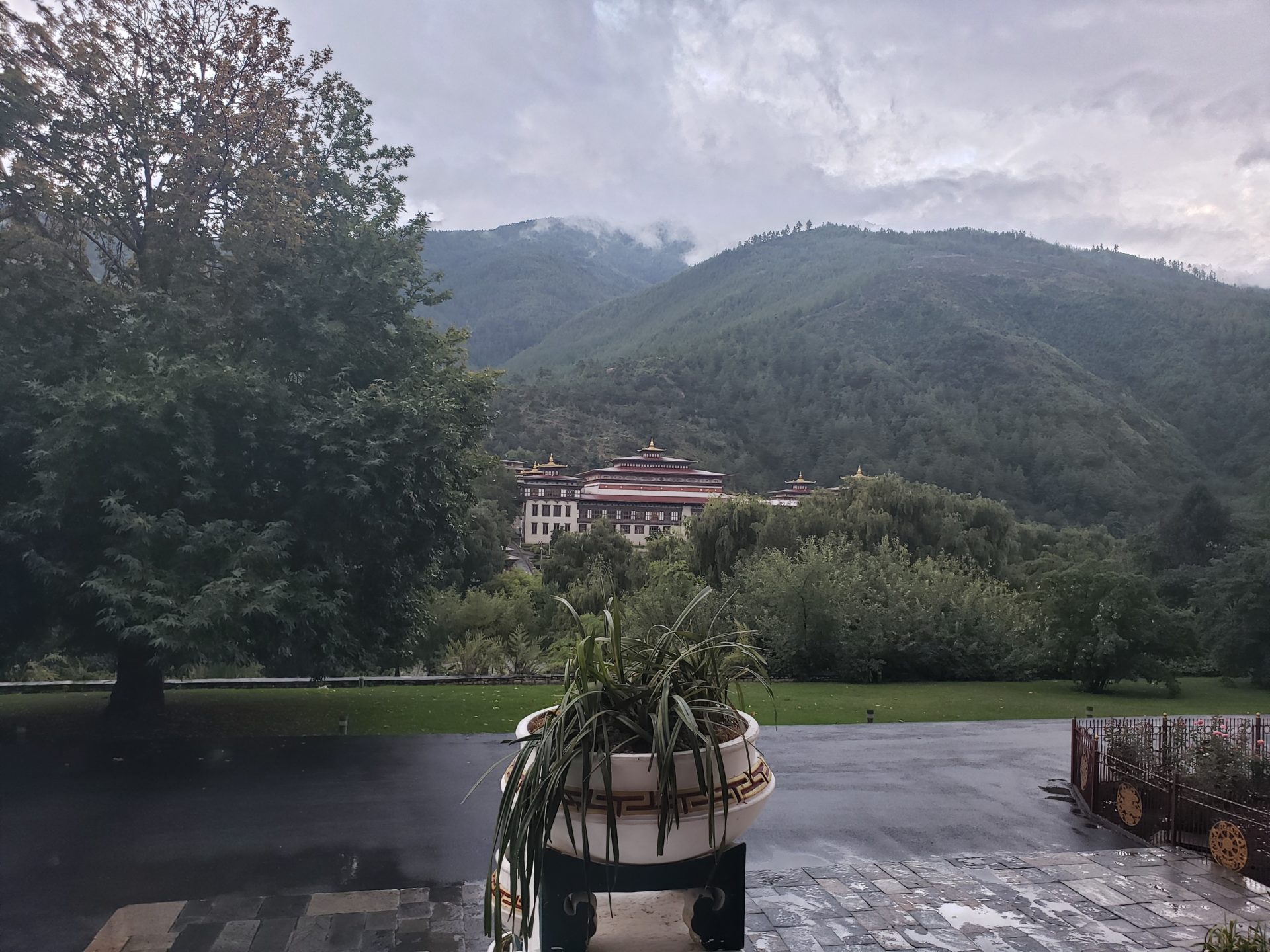 a potted plant on a patio with trees and mountains in the background
