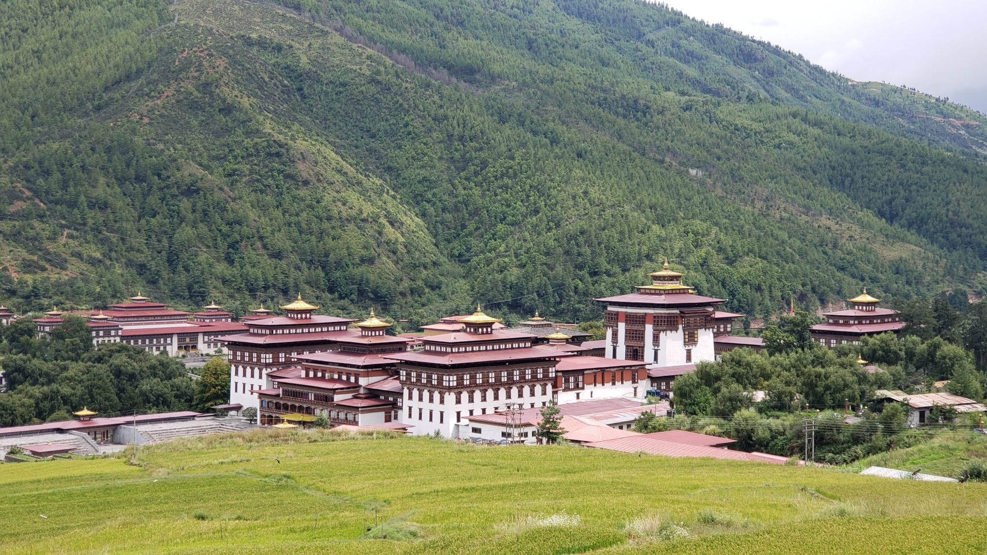 a large building with many windows and a green hill