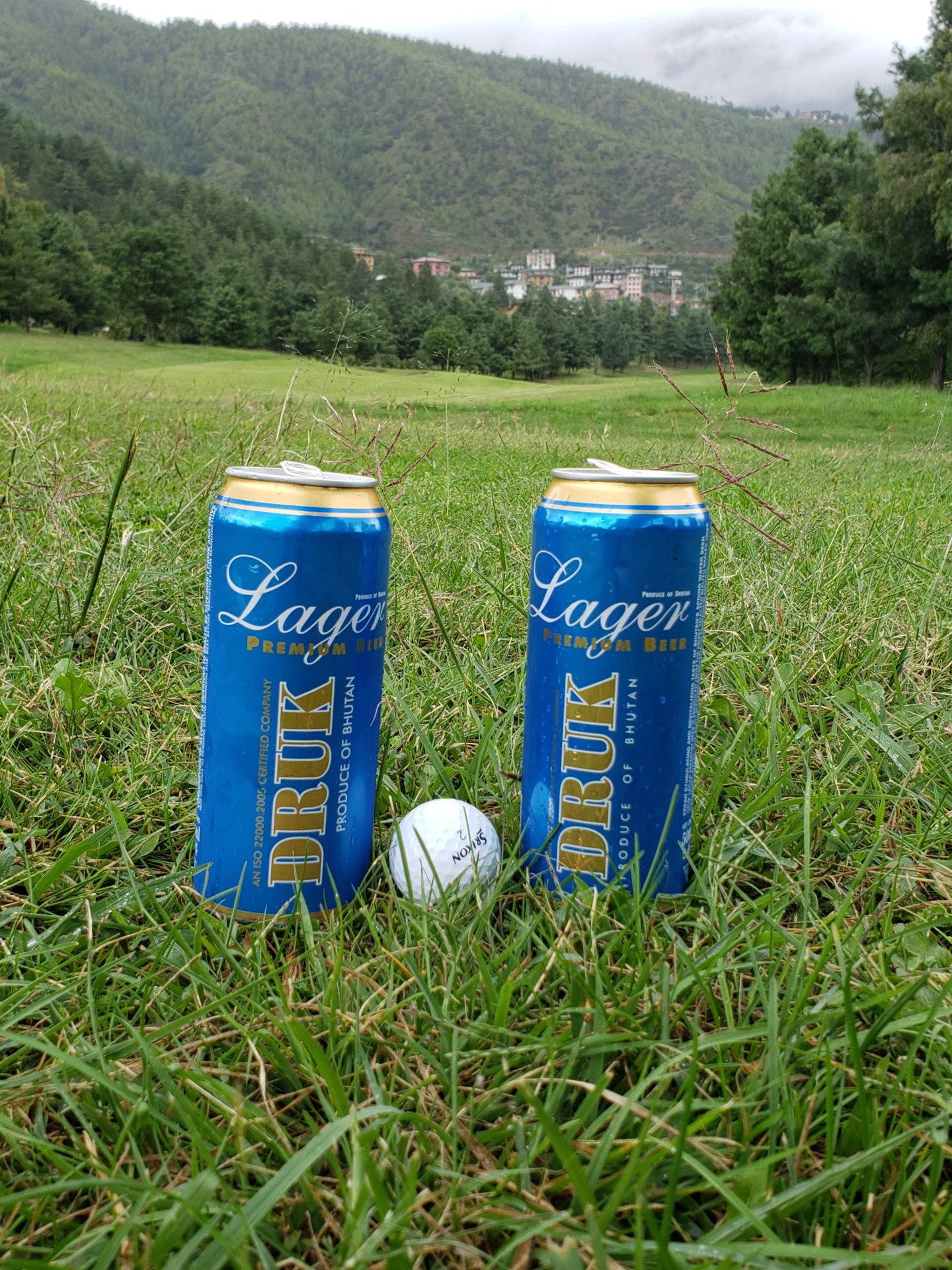 two cans of beer in the grass