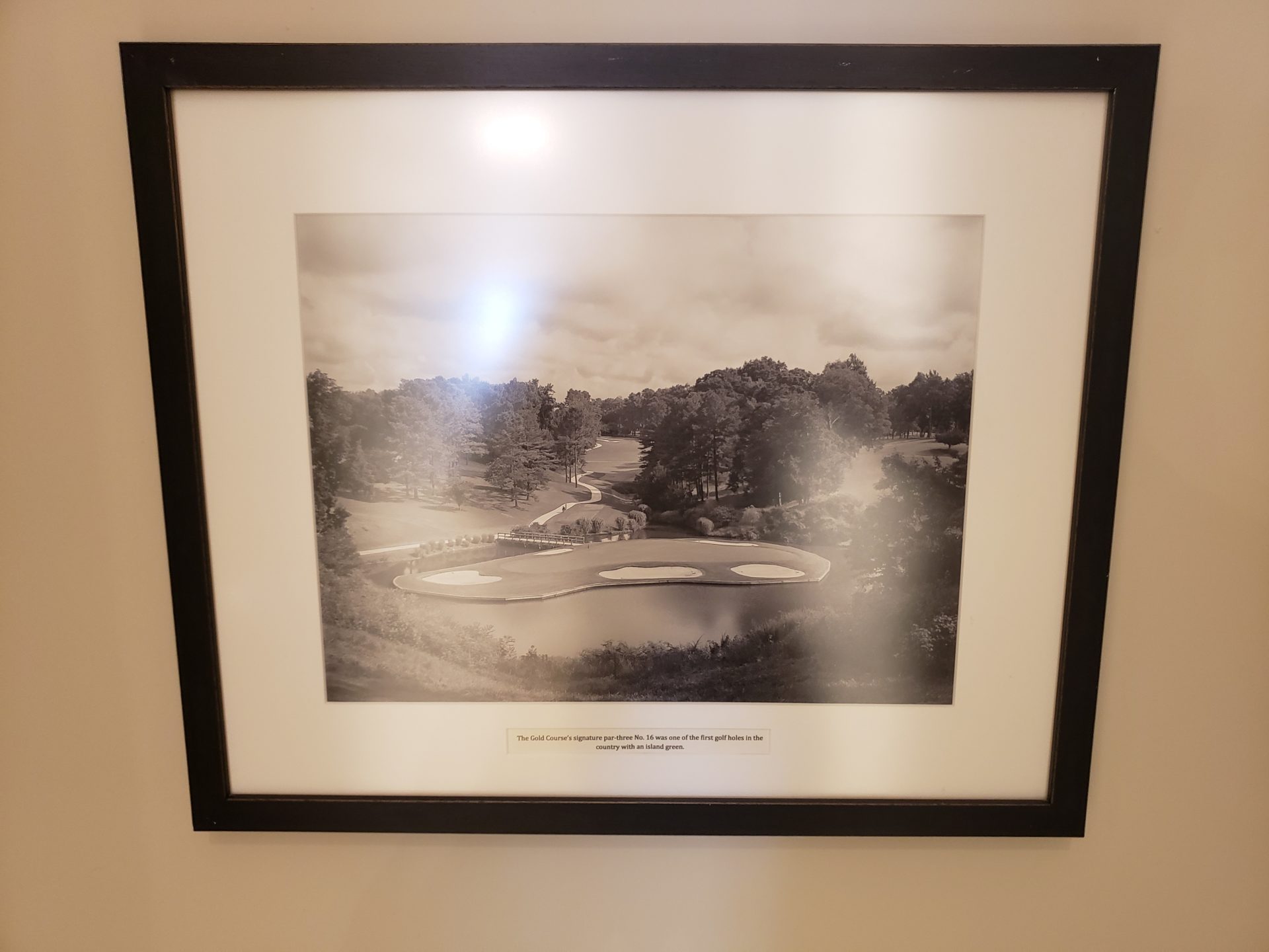 a framed picture of a golf course