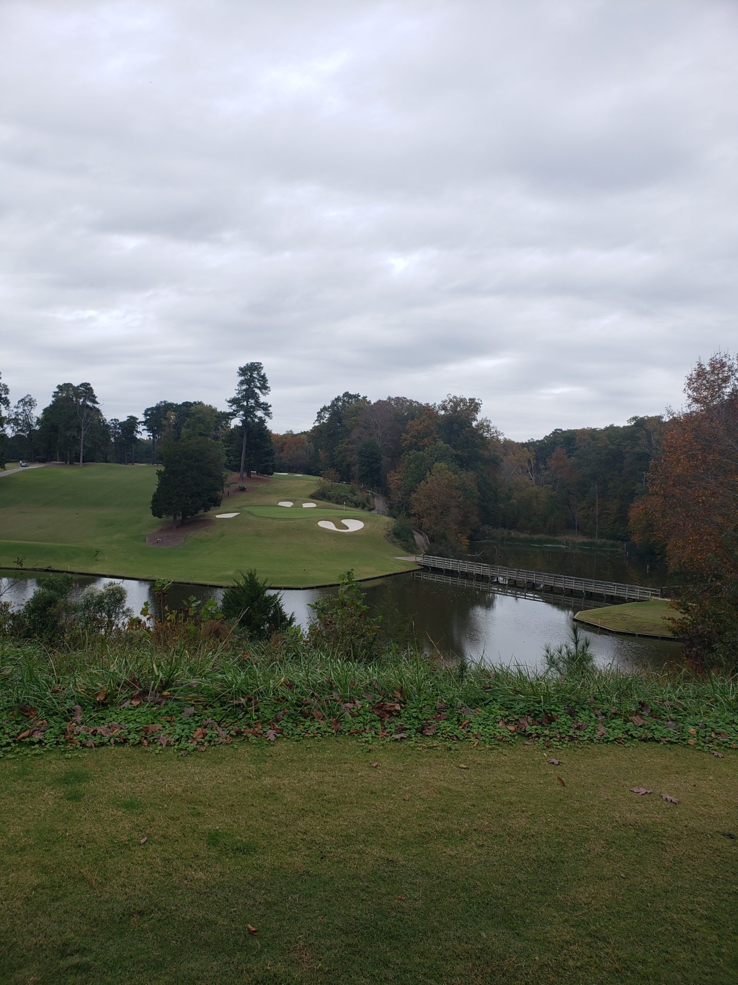 a golf course with a body of water and trees