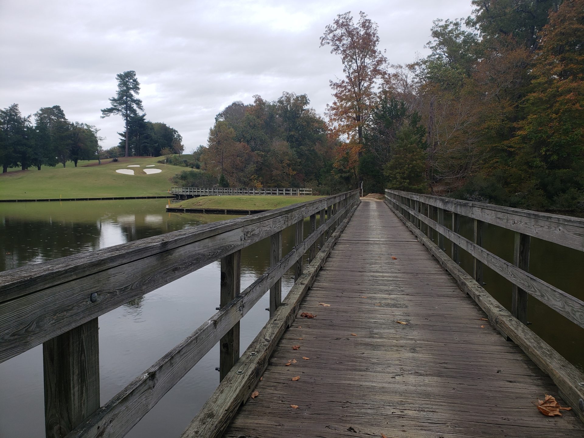 a bridge over water with trees and grass