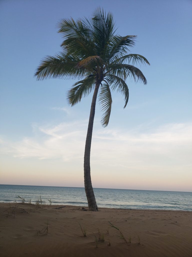 Puerto Rico’s Coronavirus Crackdown: Justified Or Unconstitutional?