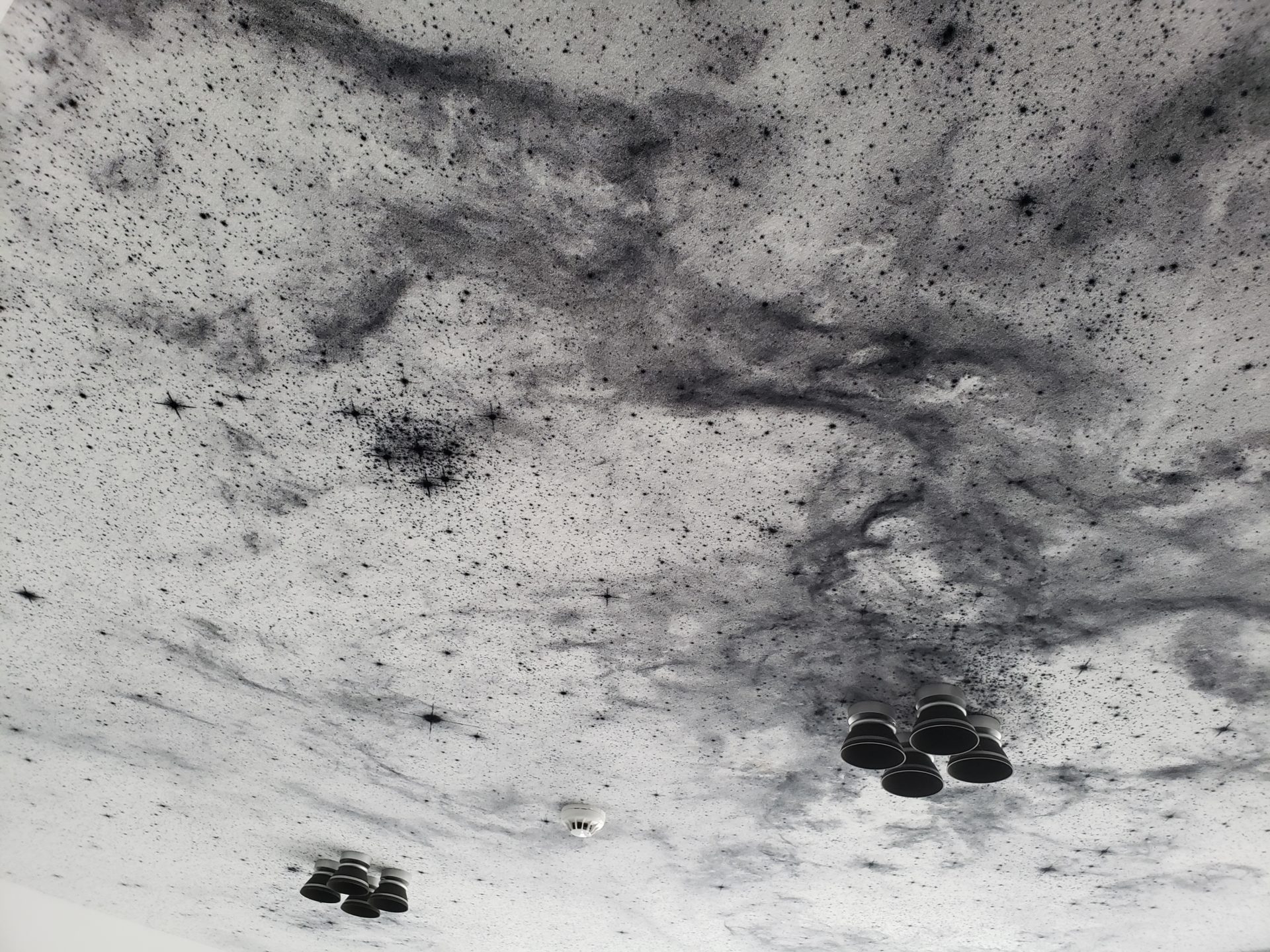 a black and white ceiling with many small spots