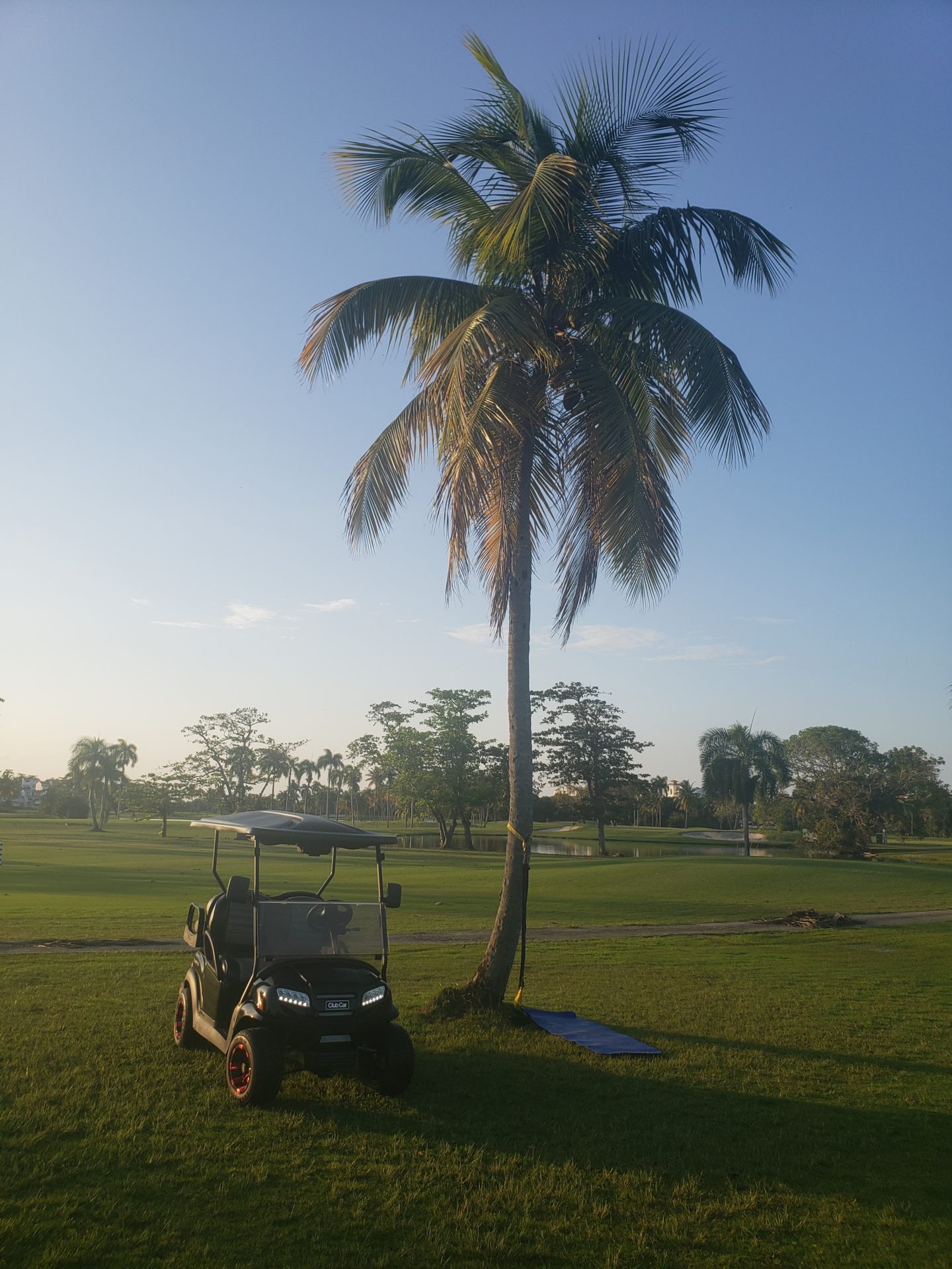 a golf cart on a golf course