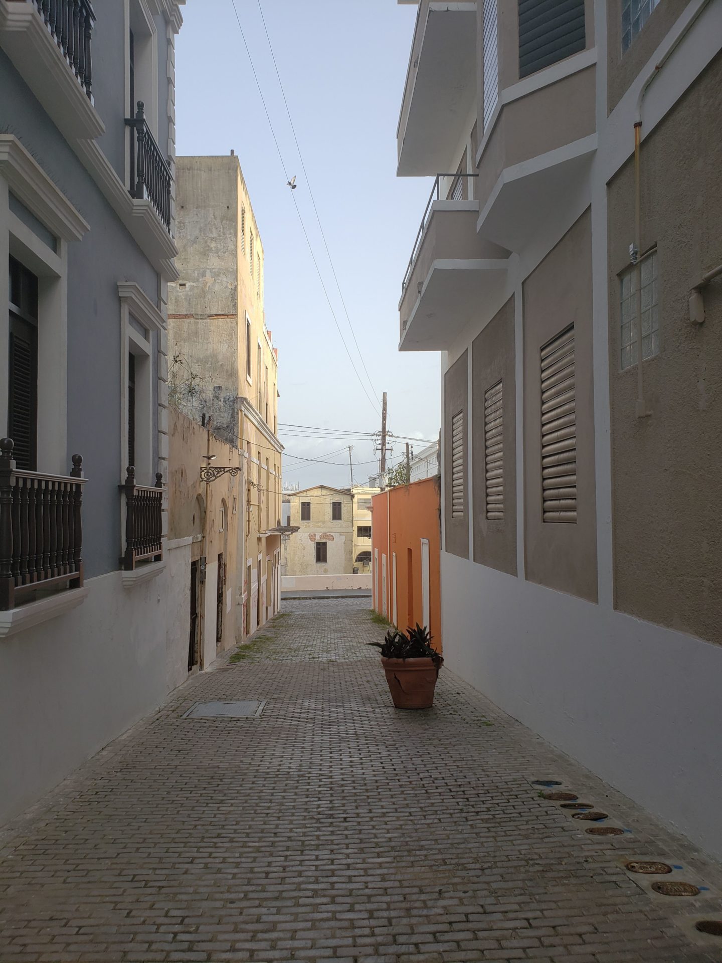 a narrow street with buildings and plants