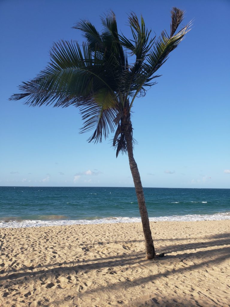 House Hunters Puerto Rico: Ocean Park, Nice Until It Floods
