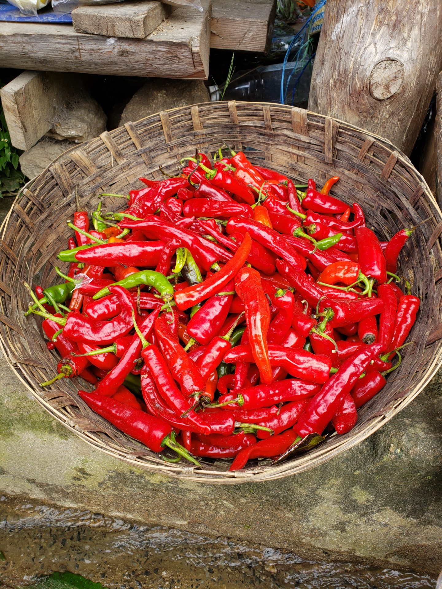 a basket of red peppers