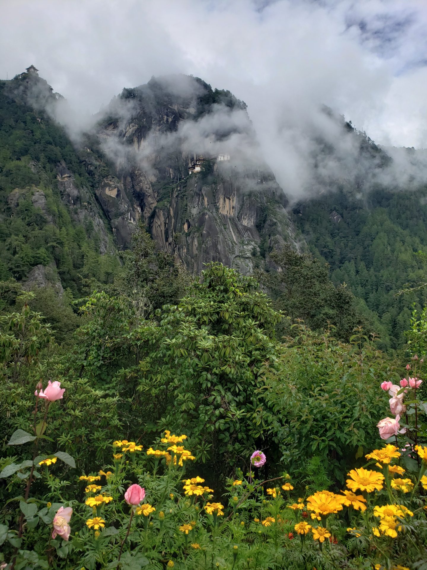 a mountain with flowers and clouds
