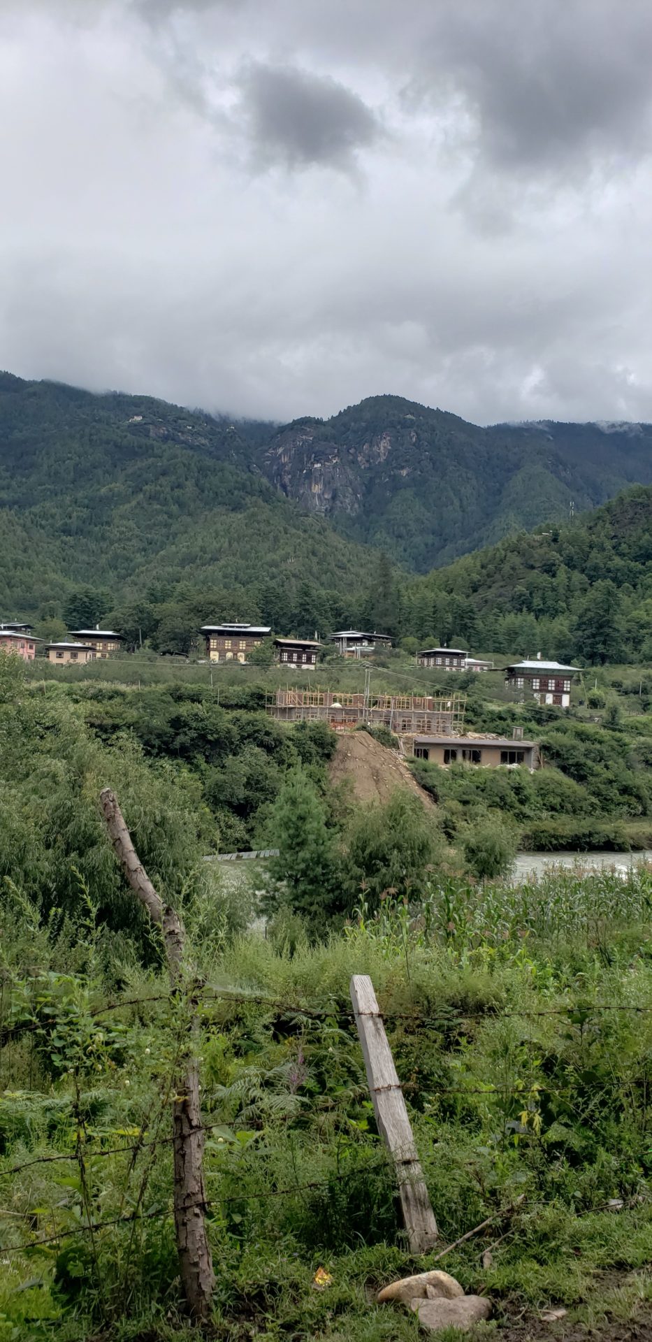 a group of houses on a hill with trees and mountains in the background