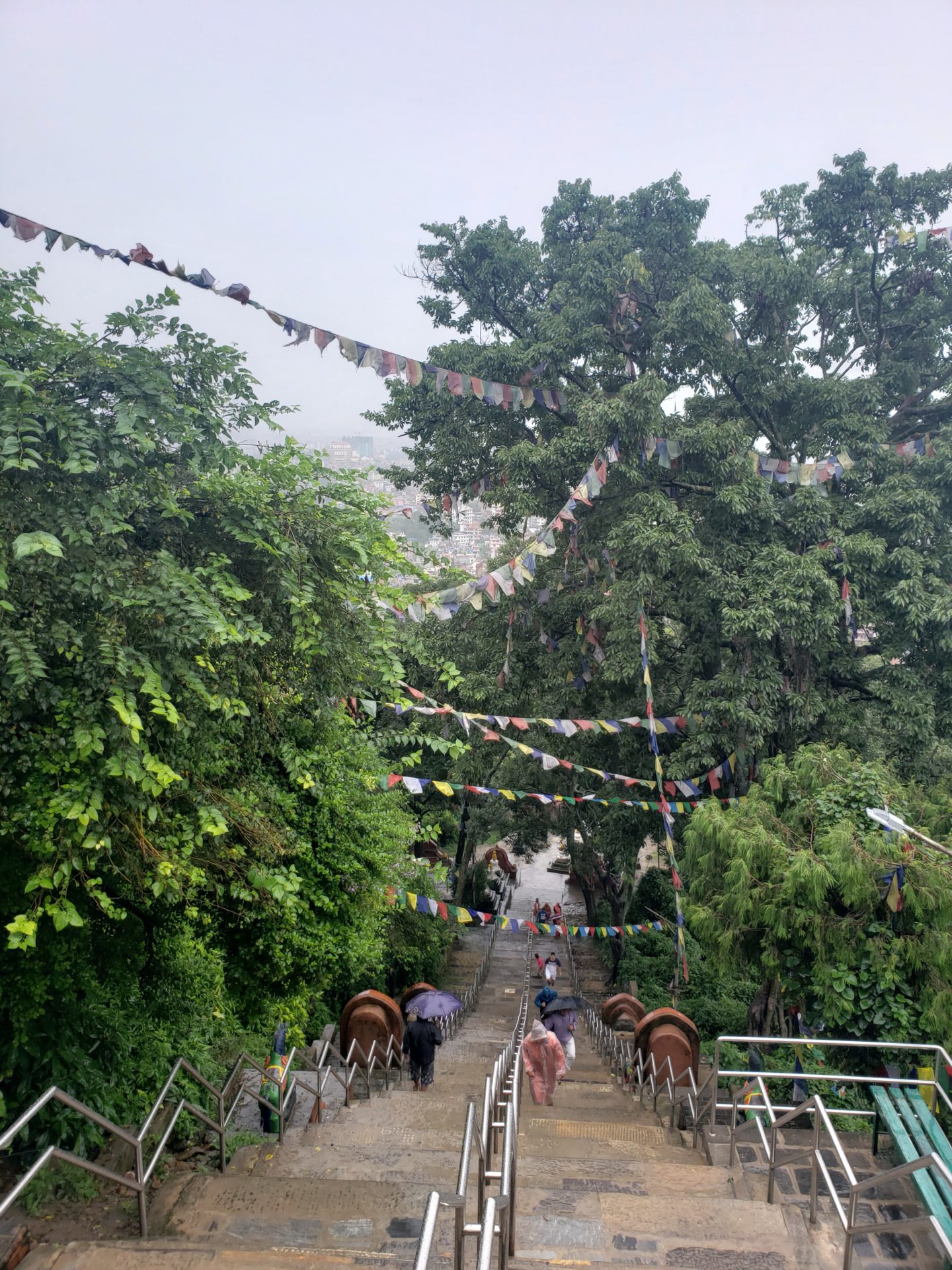 a group of people walking down a staircase with flags and trees