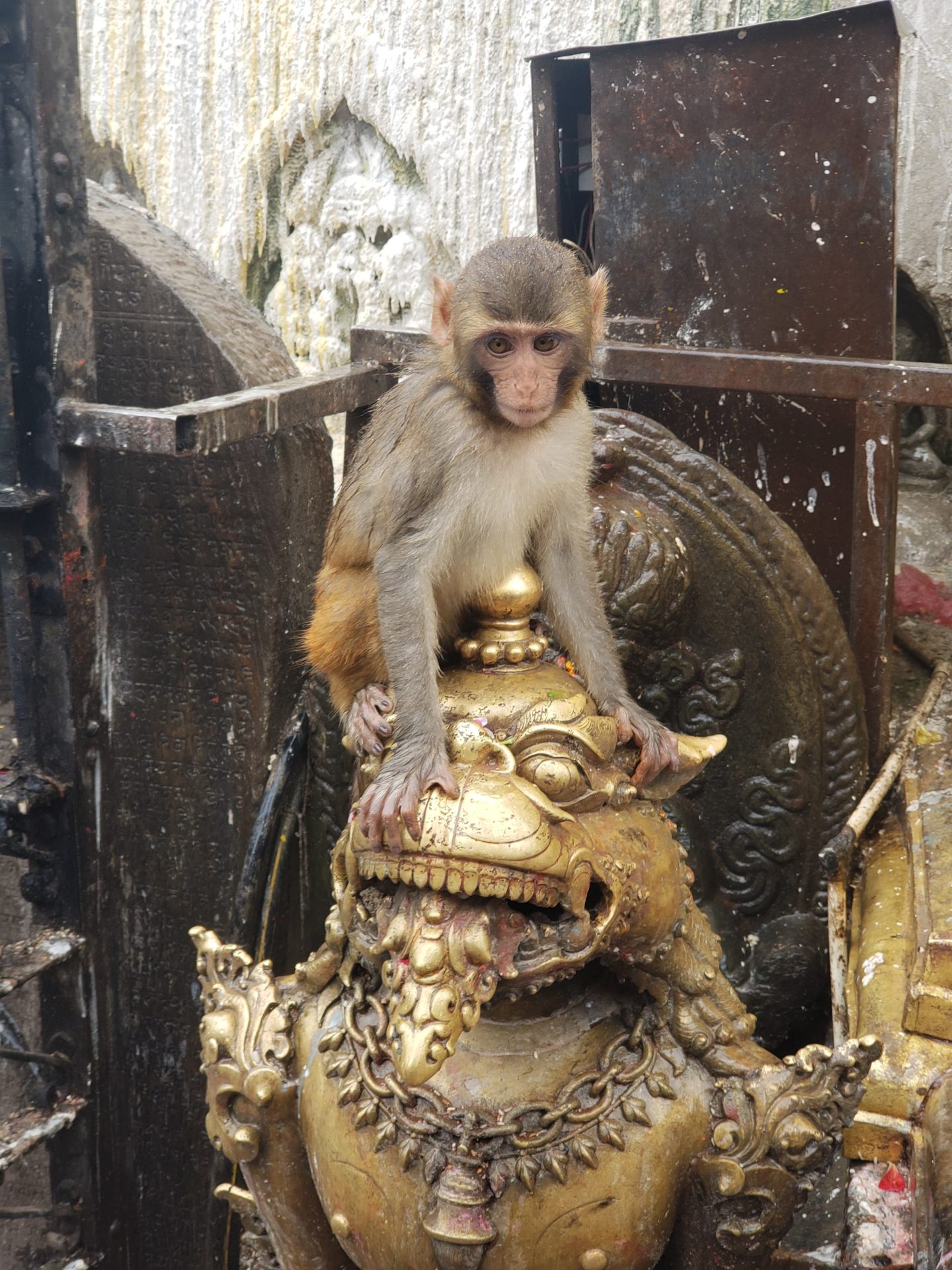 a monkey sitting on a statue