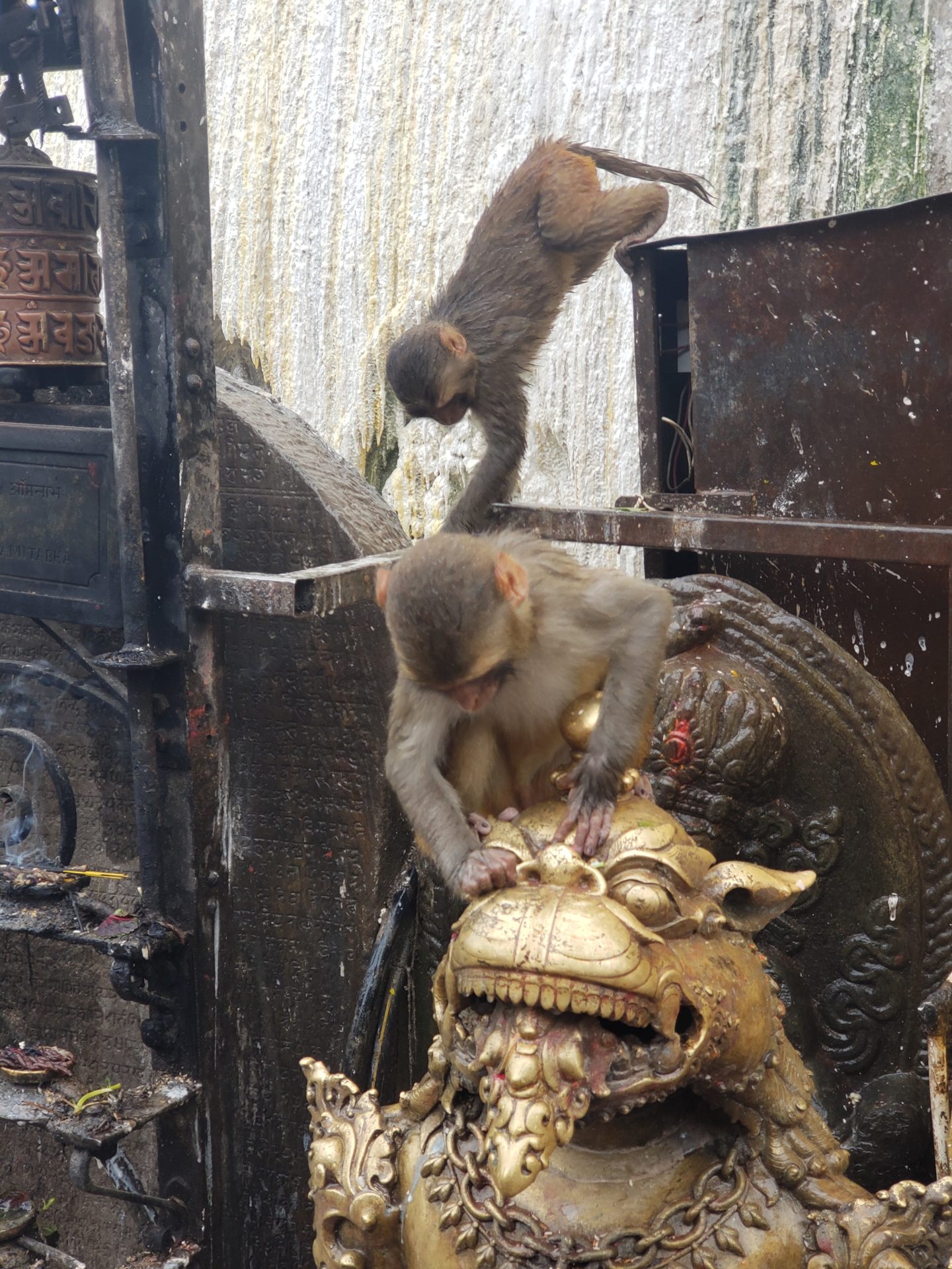 monkeys climbing on a statue