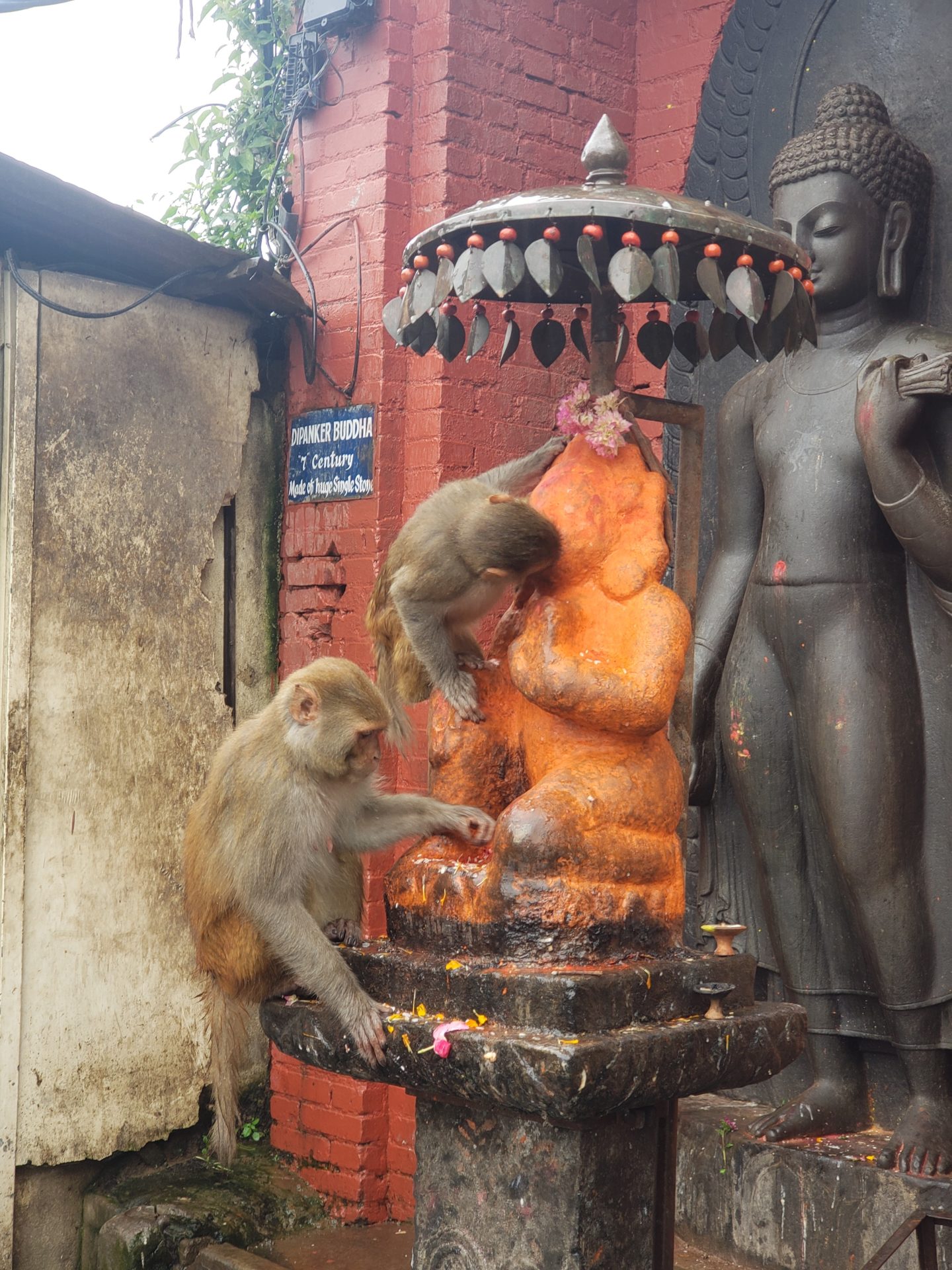 two monkeys climbing up a statue