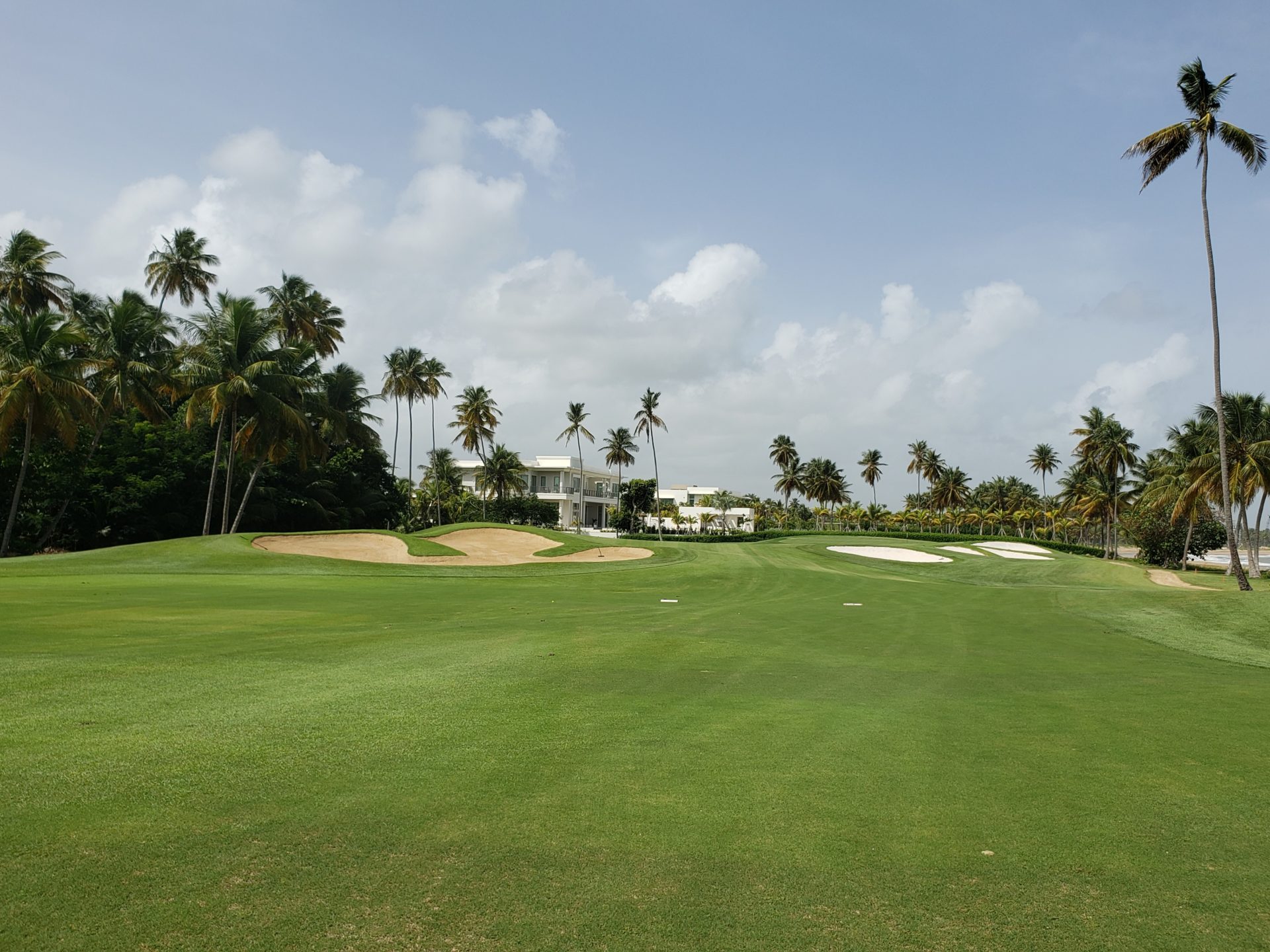 a golf course with palm trees and a house