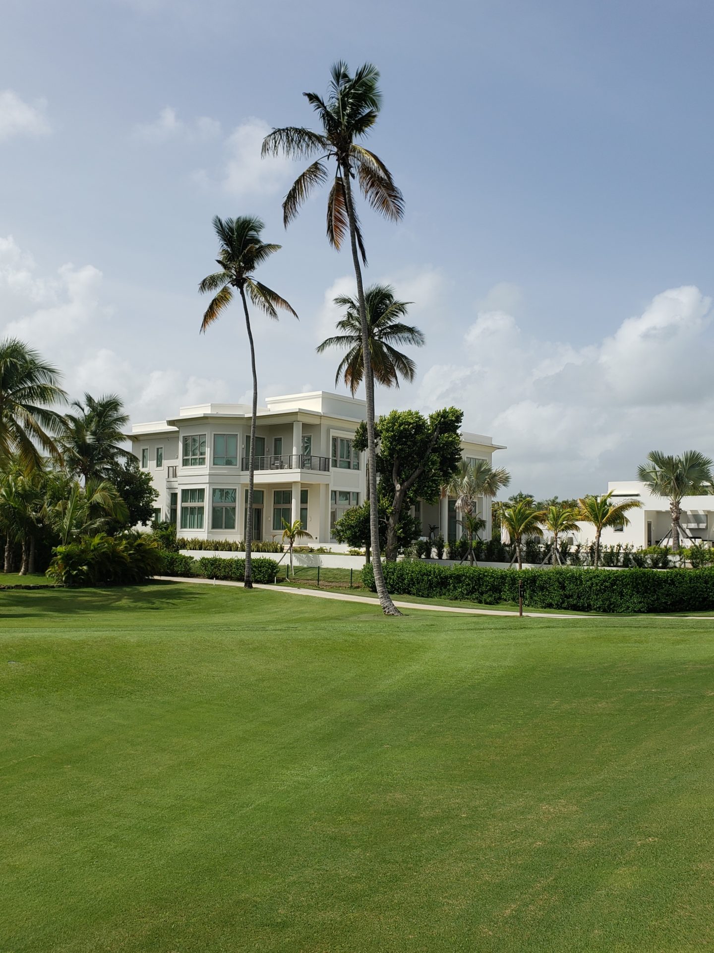 a large lawn with palm trees and a building