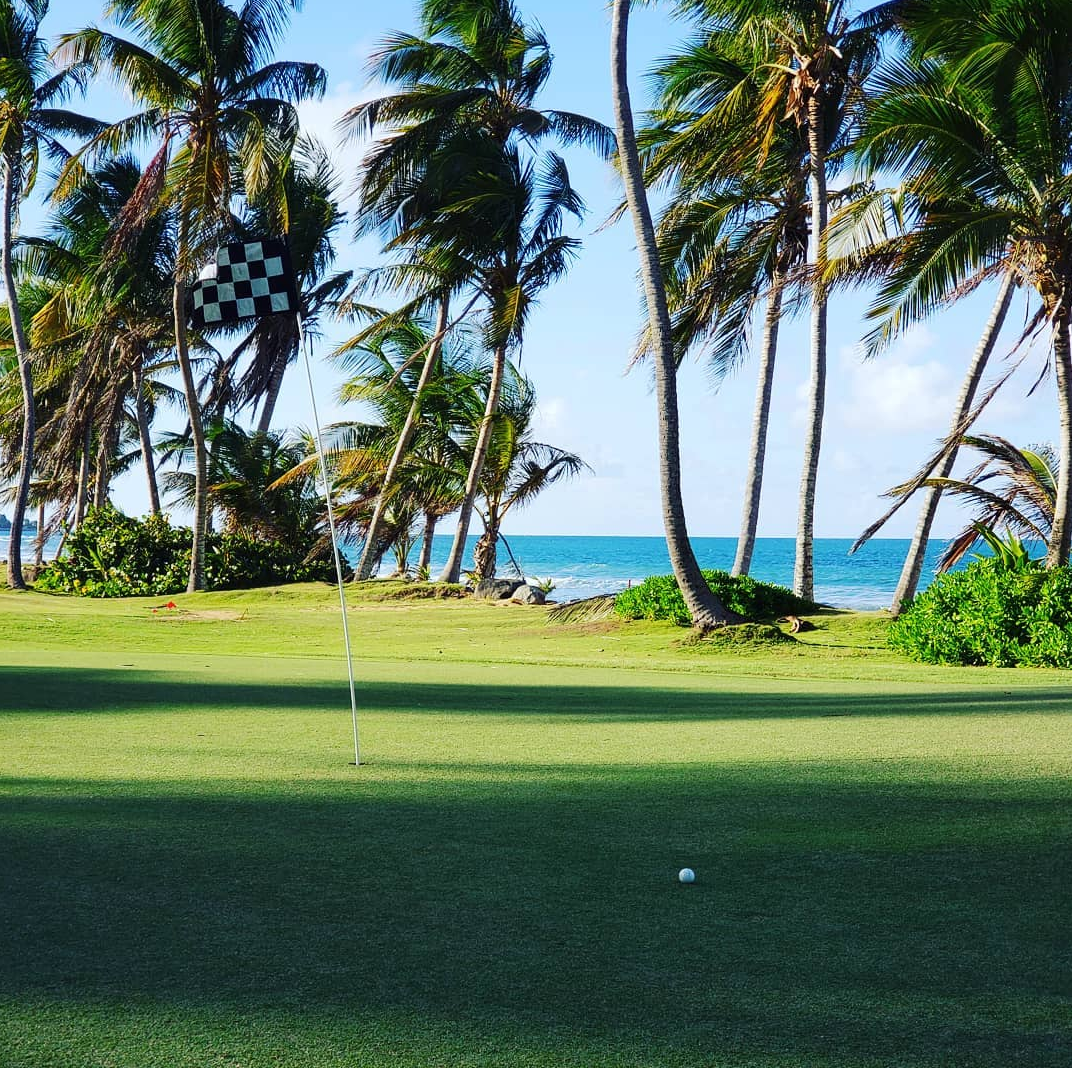 a golf course with palm trees and a flag