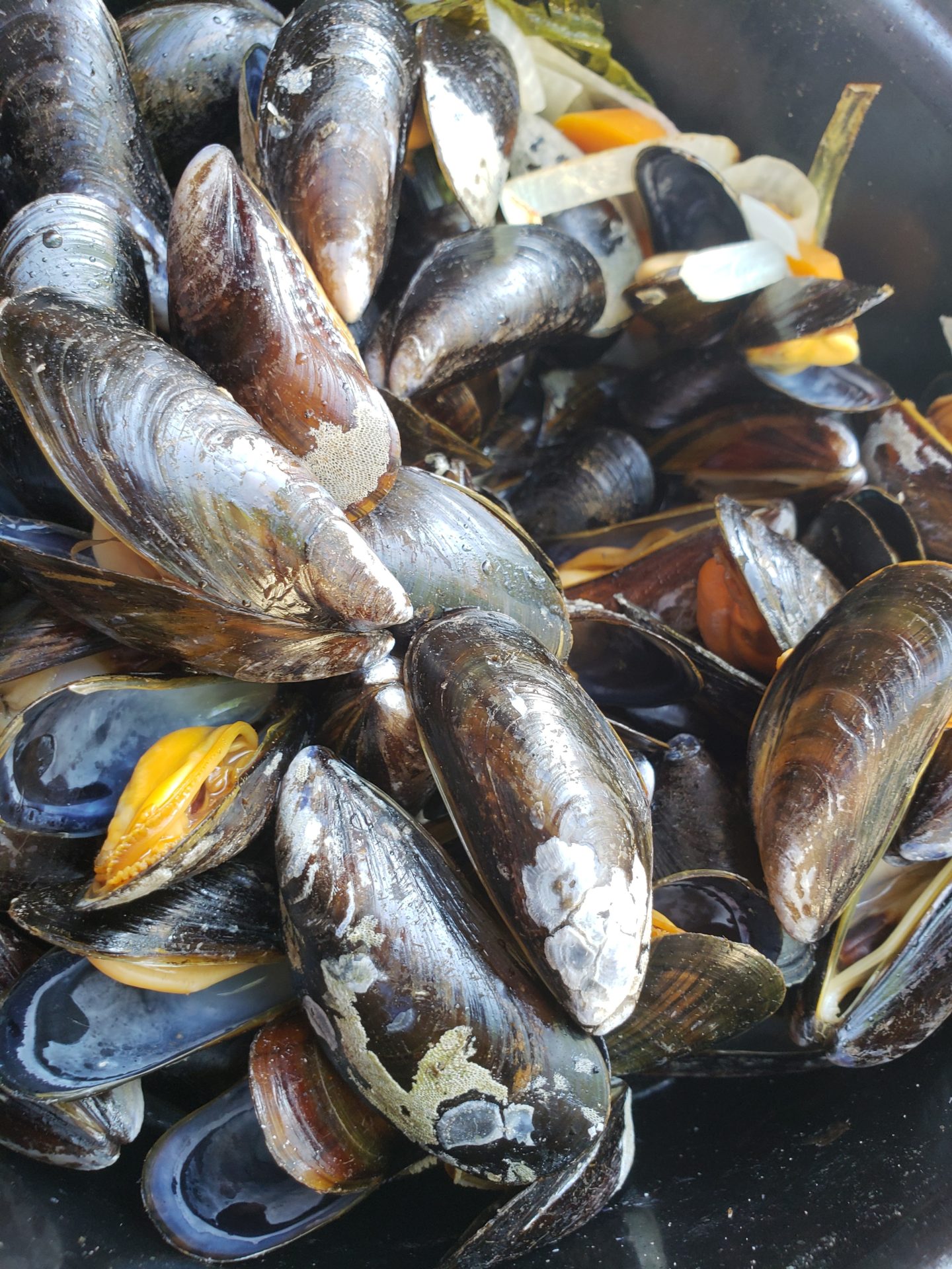 a group of mussels in a bowl