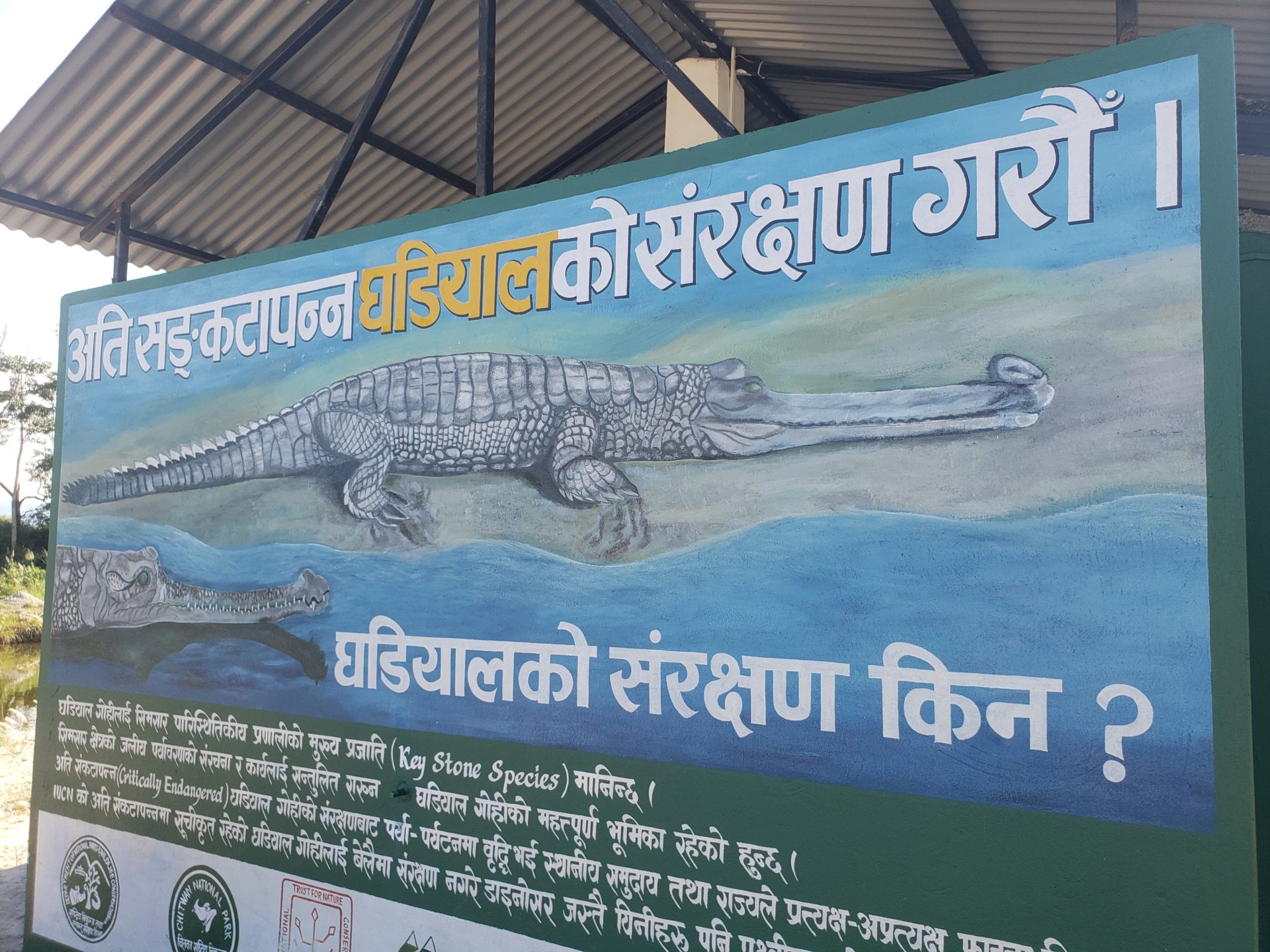 a sign with a crocodile and a crocodile in the water