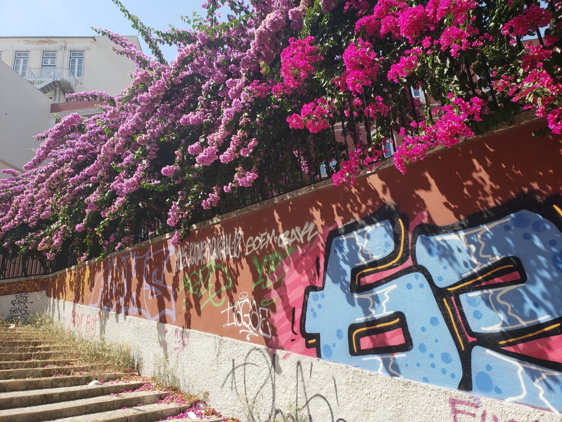 a wall with pink flowers and graffiti