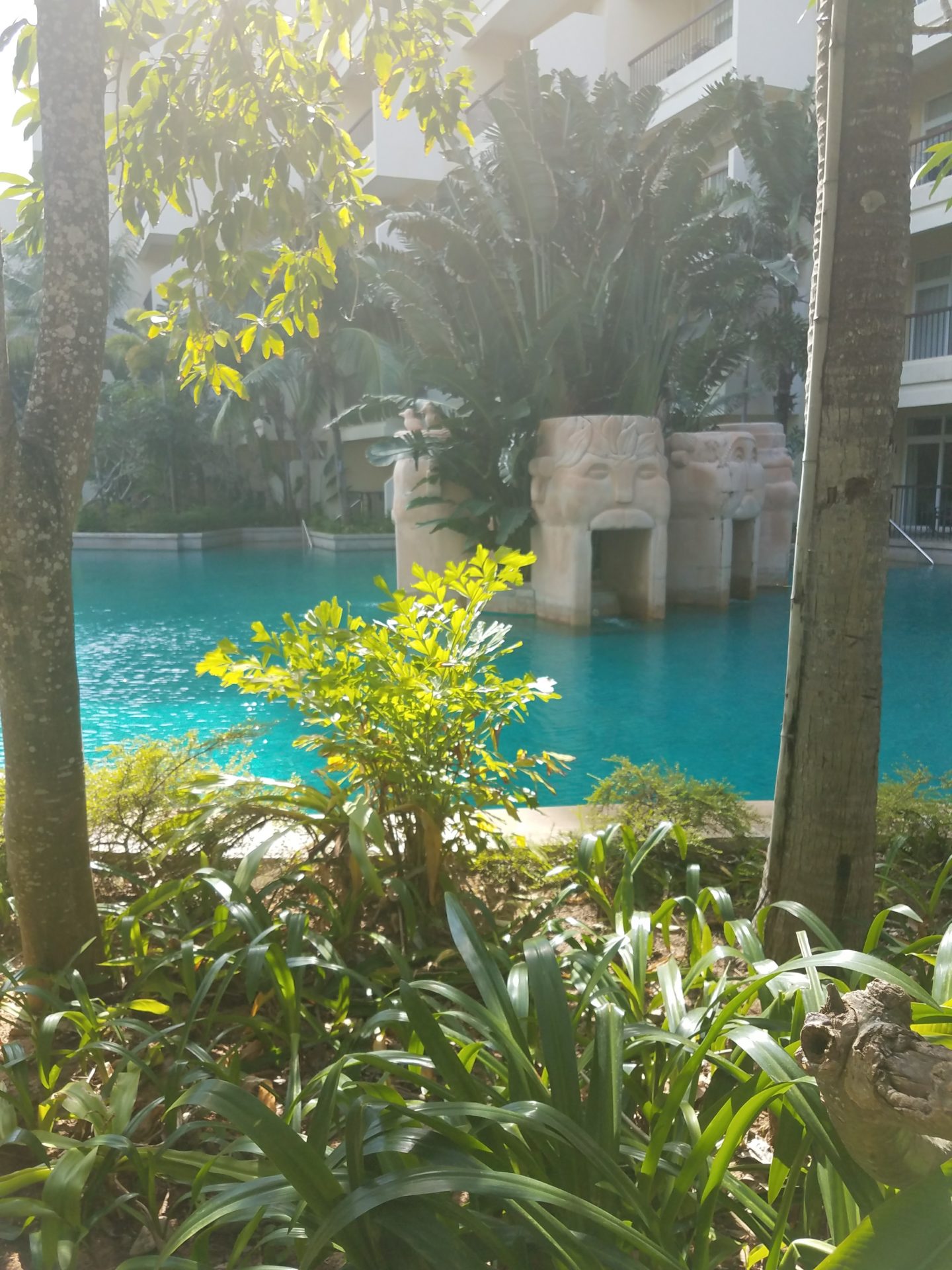 a pool with trees and plants around it
