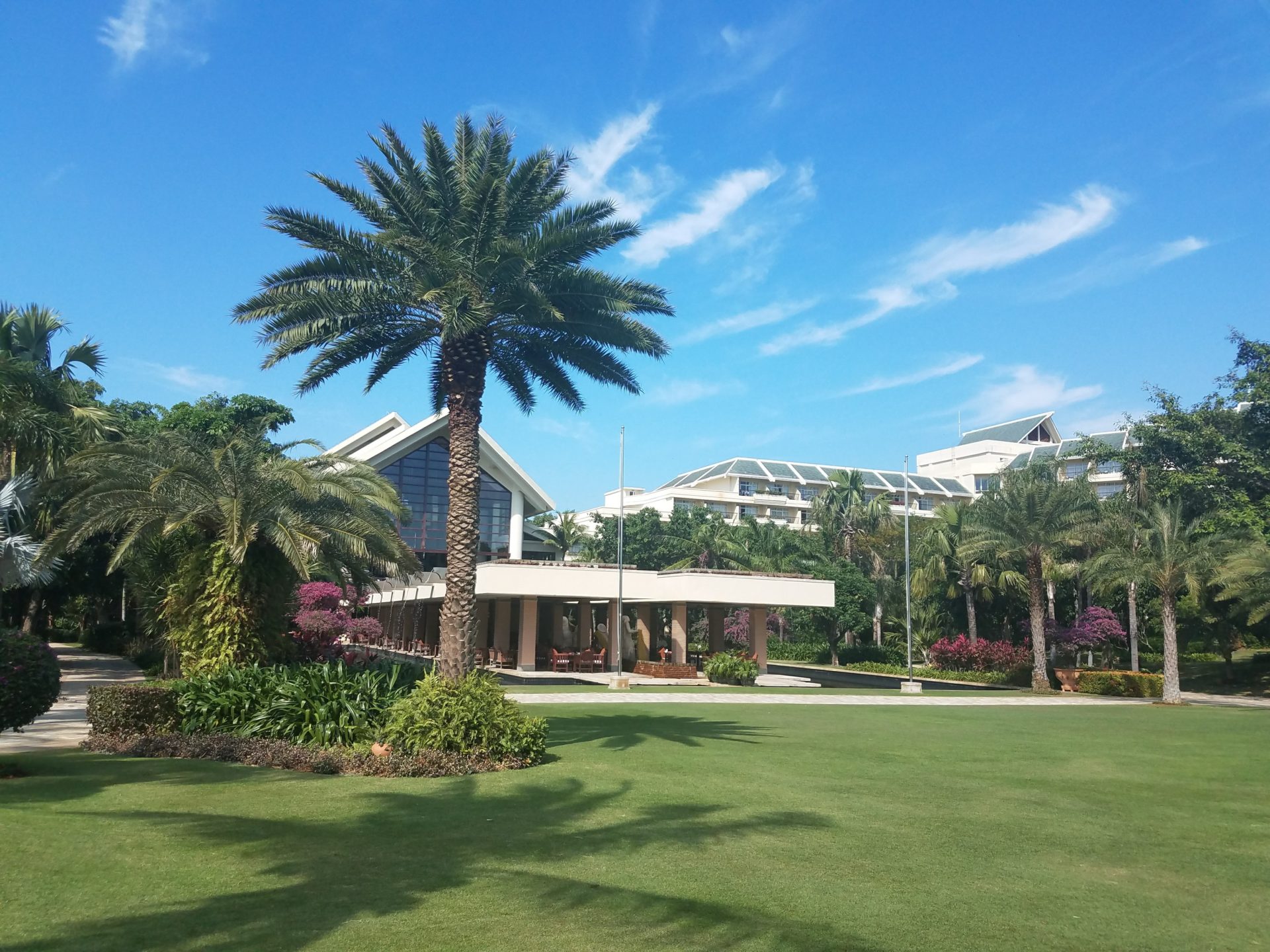 a large lawn with palm trees and a building in the background