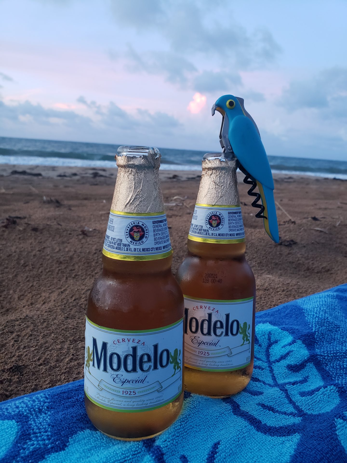 two bottles of beer on a towel on the beach