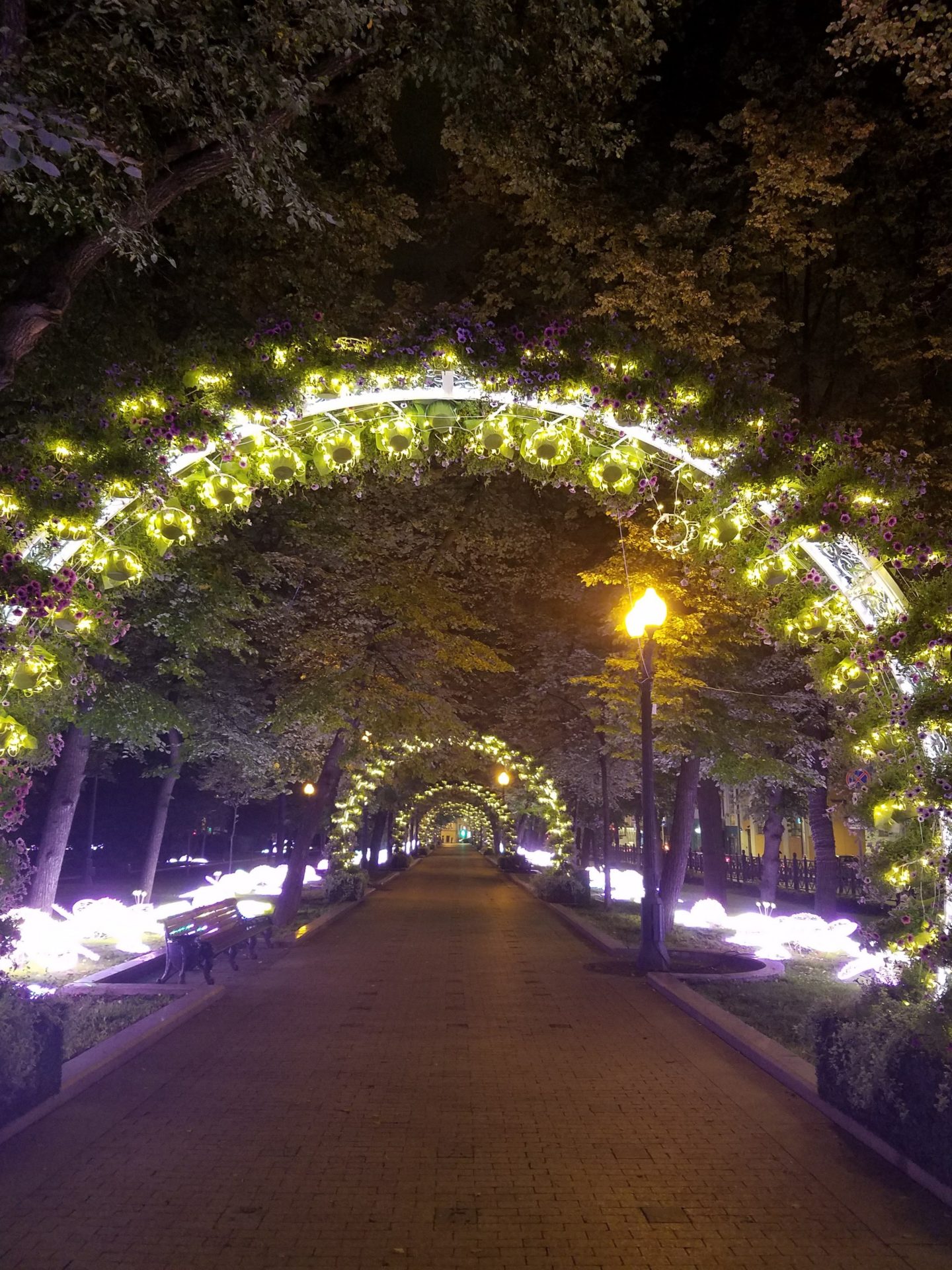 a walkway with lights and trees