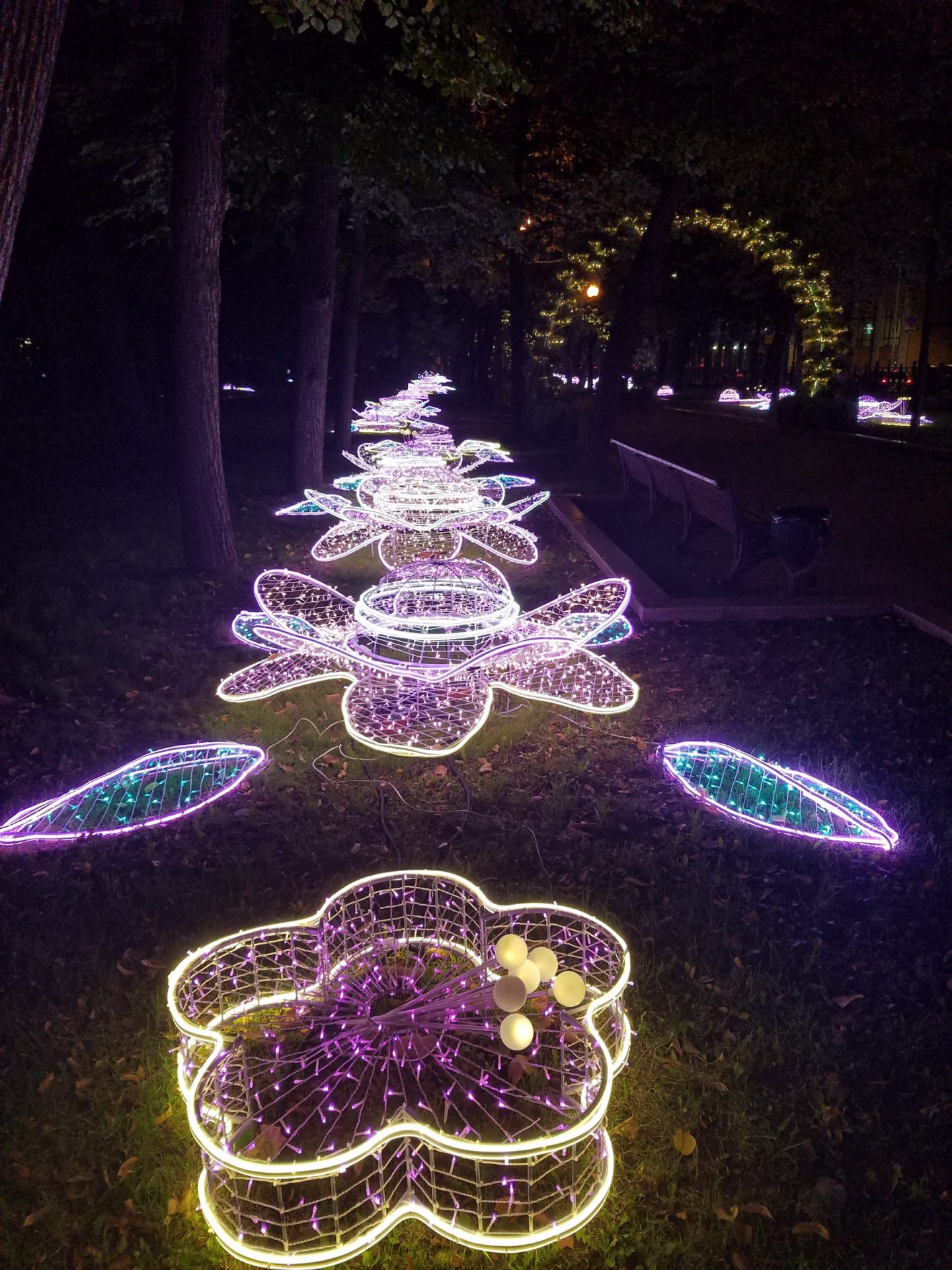 a row of flowers made of lights