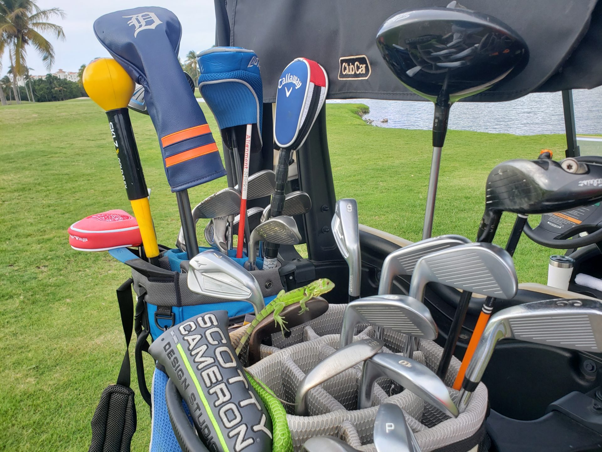 a golf bag full of golf clubs
