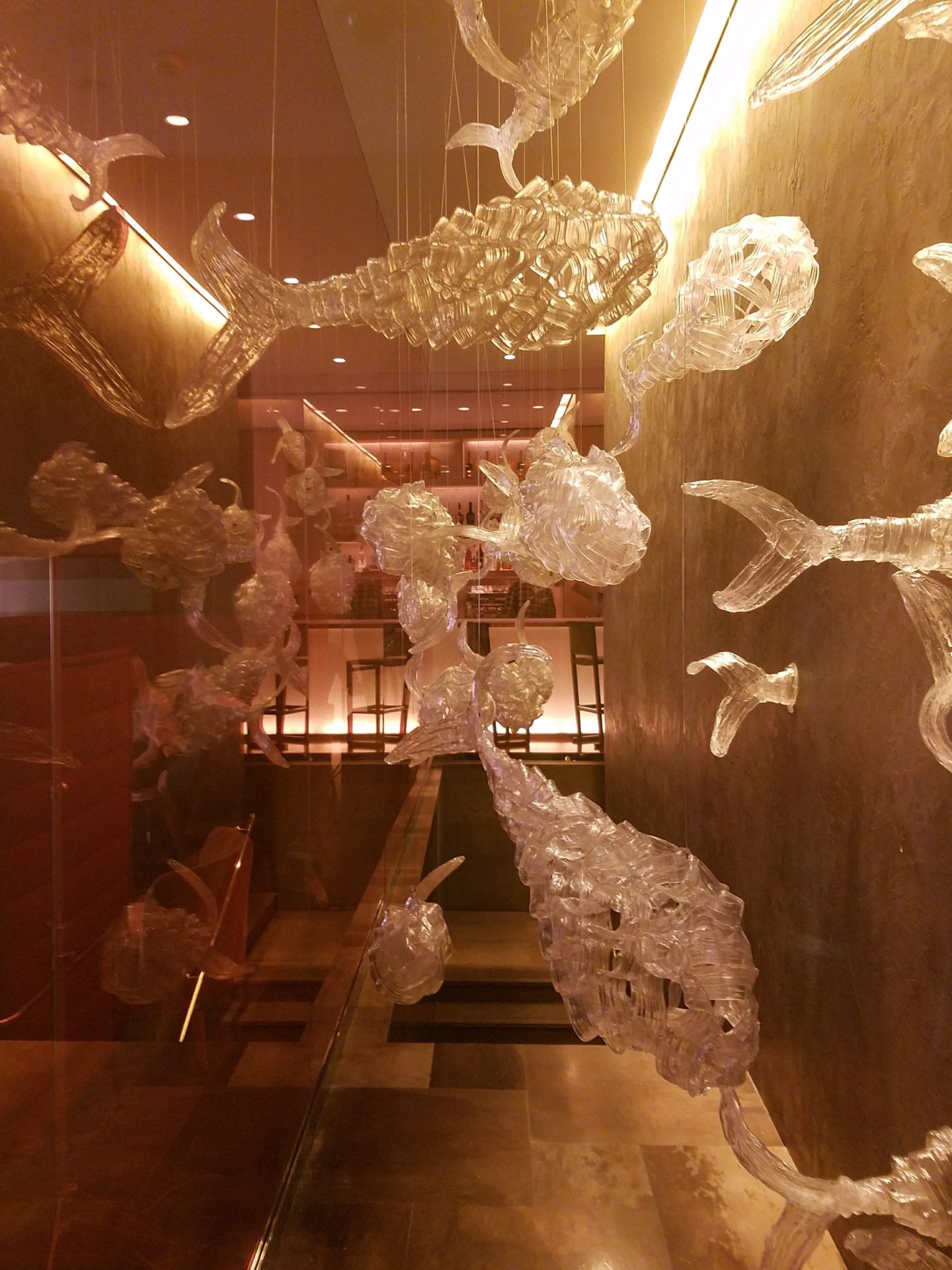 a group of plastic fish from a glass wall