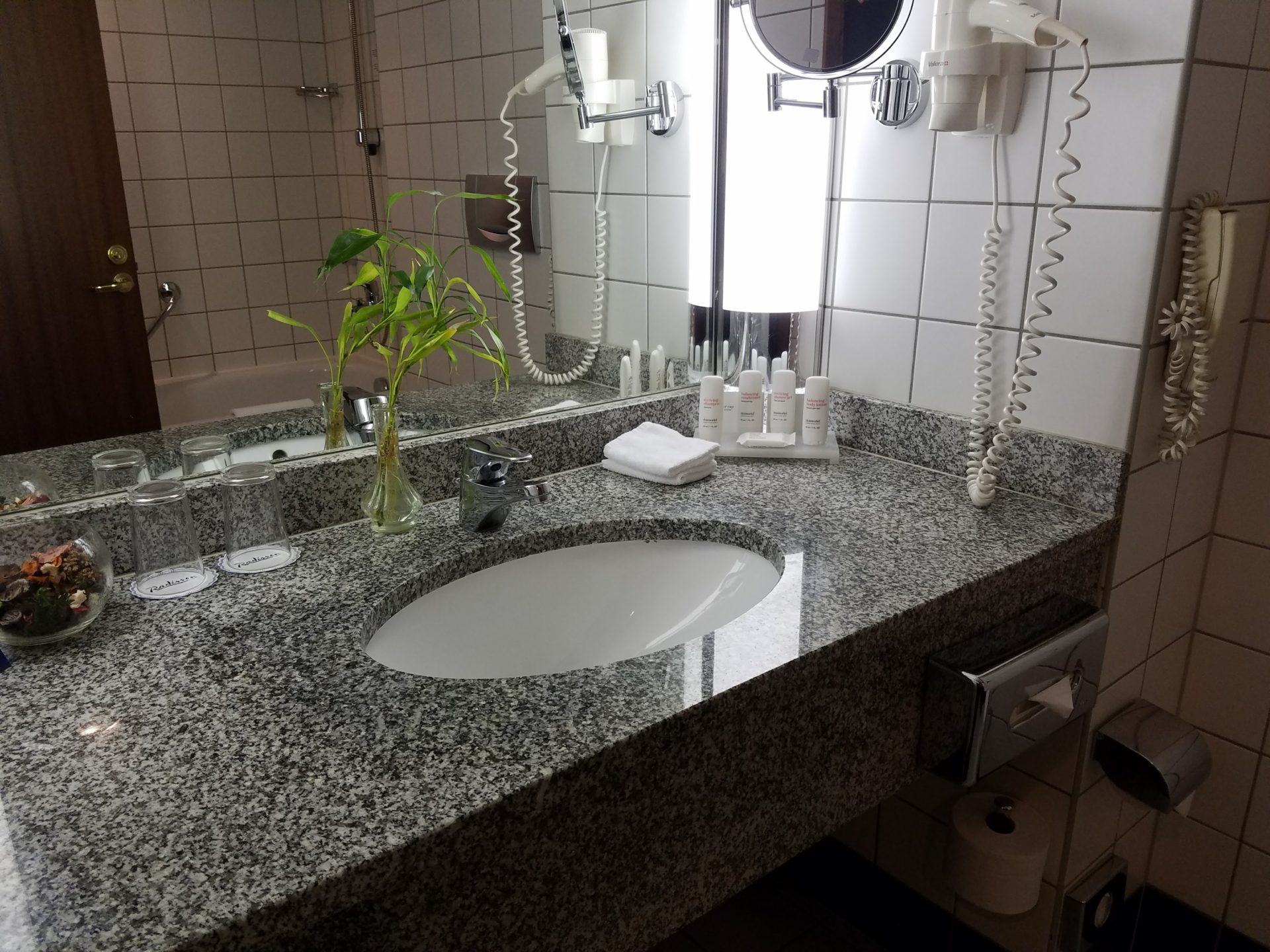 a bathroom sink with a mirror and a plant
