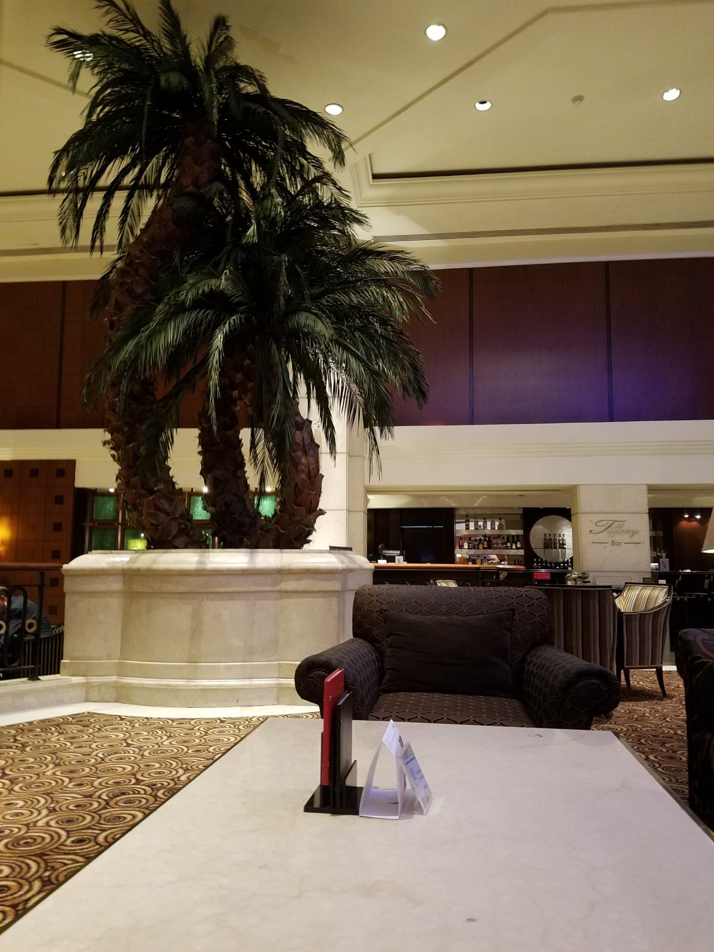 a palm tree in a room