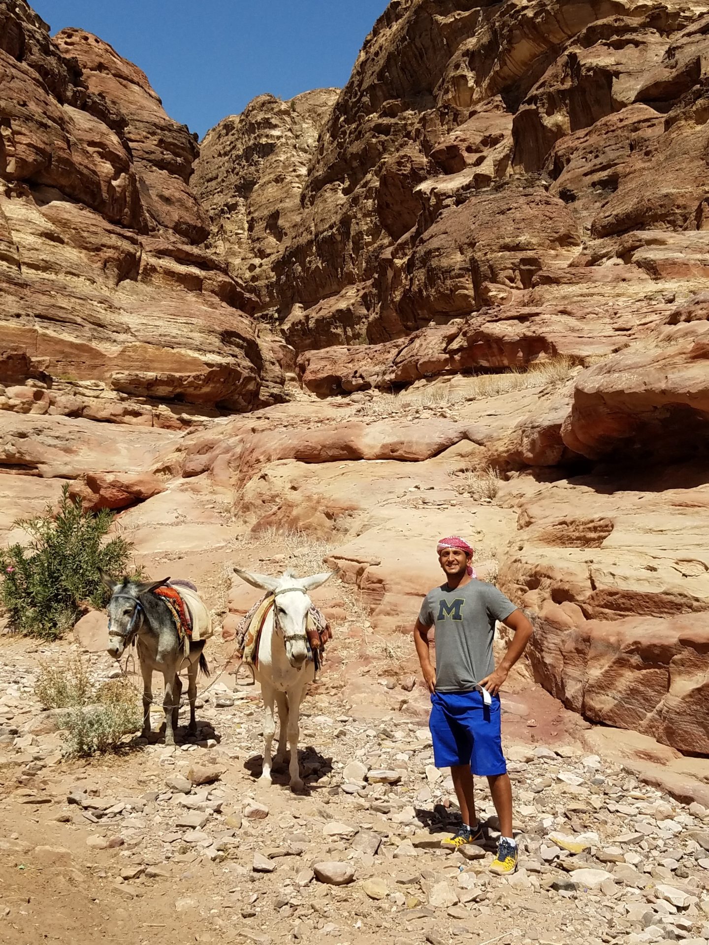 a man standing next to a donkey in a rocky area