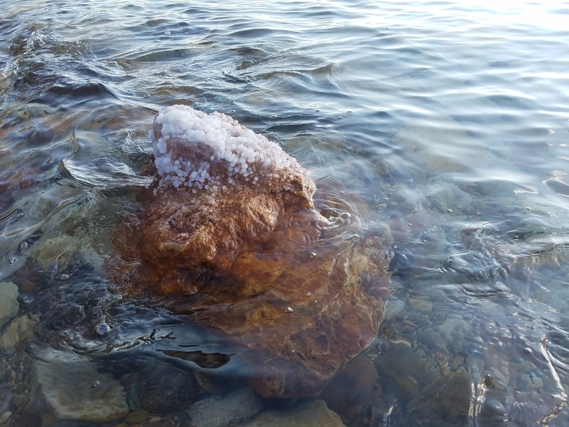a rock in the water