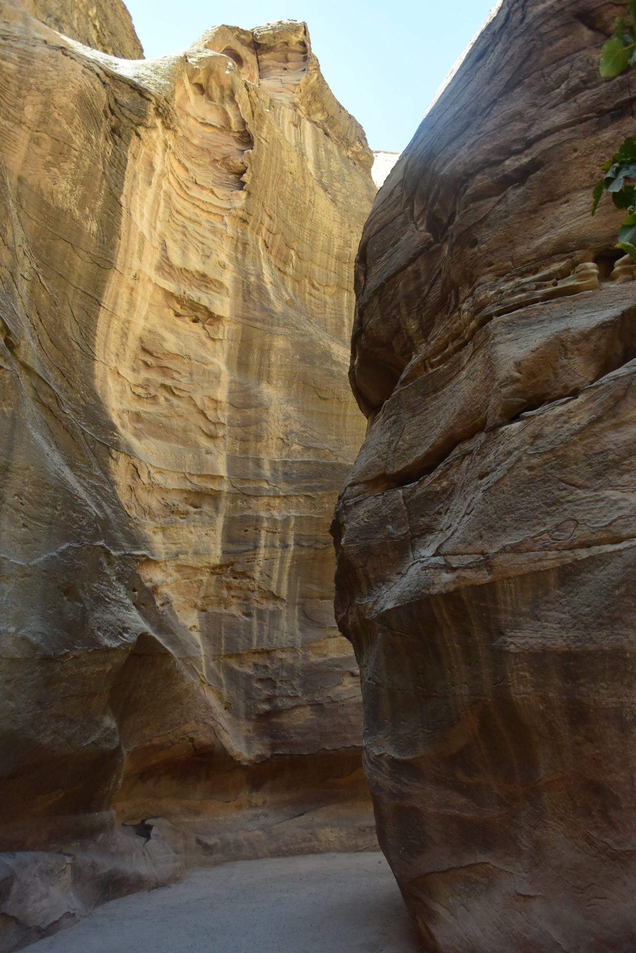 a large rock formations in a canyon with Ein Avdat in the background