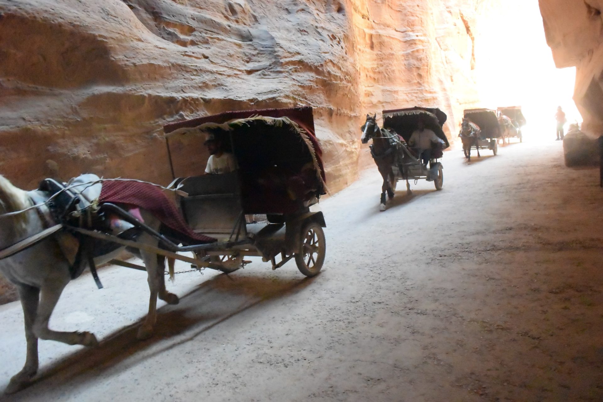 a horse drawn carriages in a canyon